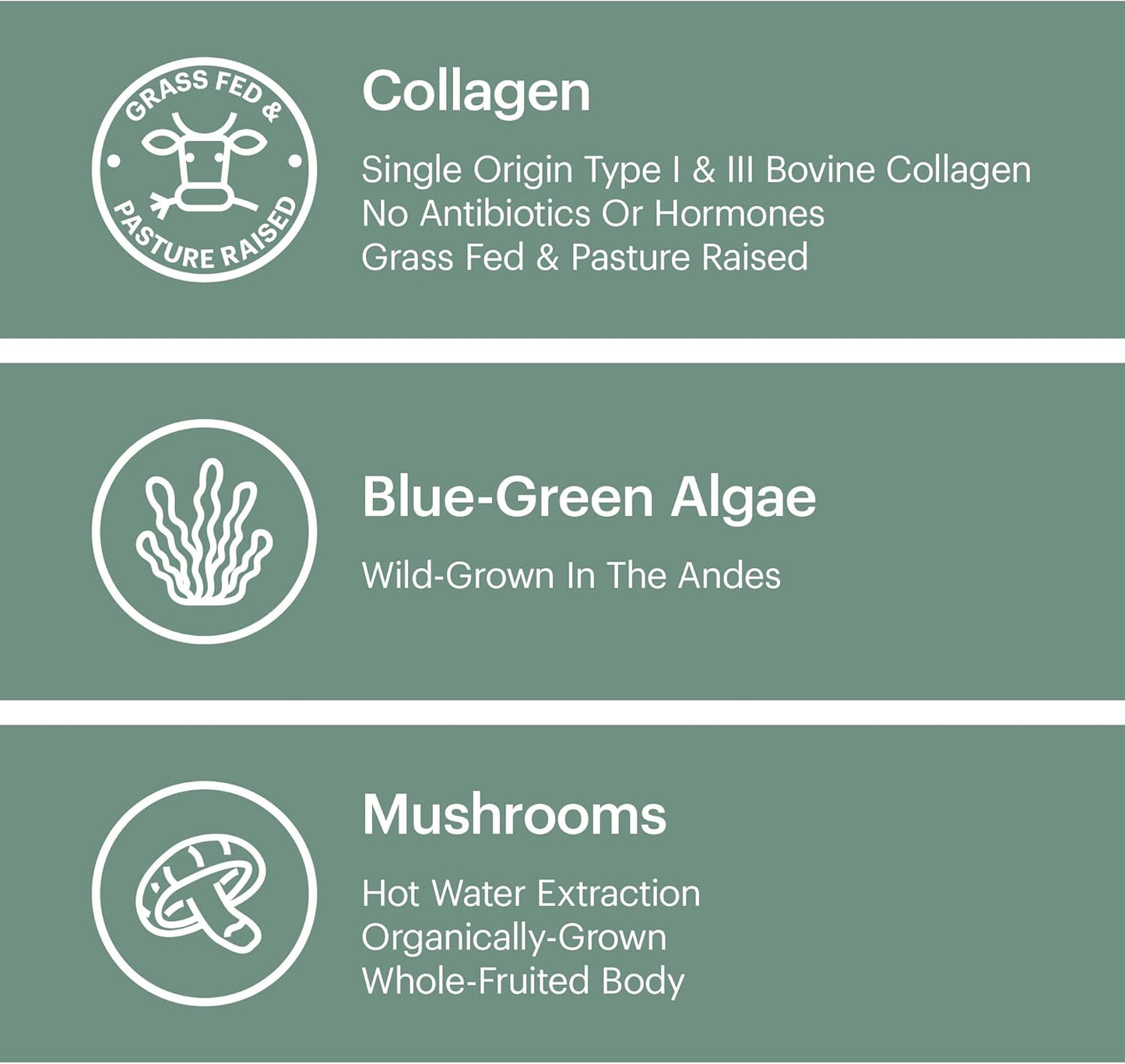 Organic Collagen Superfood Powder with Blue-Green Algae, Mushroom Extracts, and Matcha - Detox & Immunity Support, Allergen-Free & Non-GMO