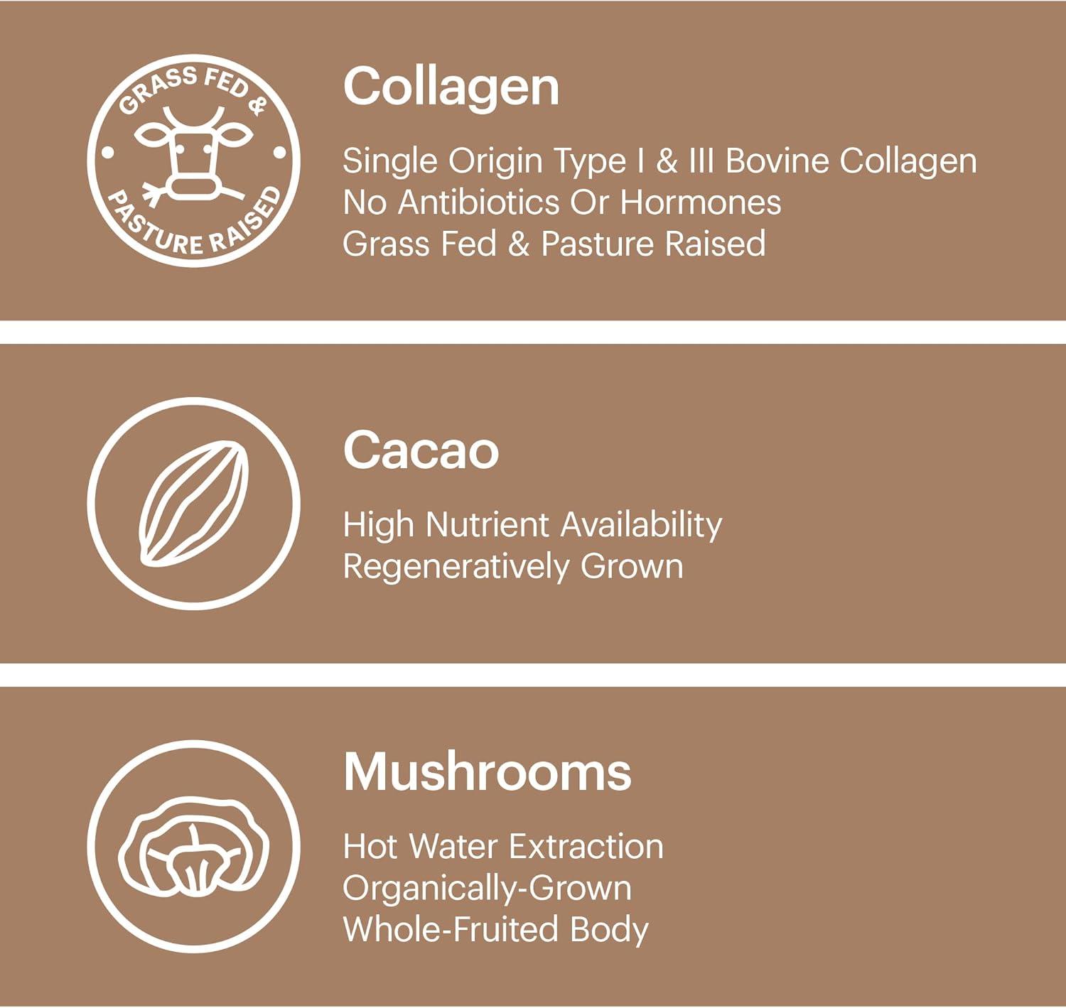 Organic Collagen Superfood Powder with Cacao, Mushroom Extracts, and Matcha - Stress Relief, Allergen-Free & Non-GMO