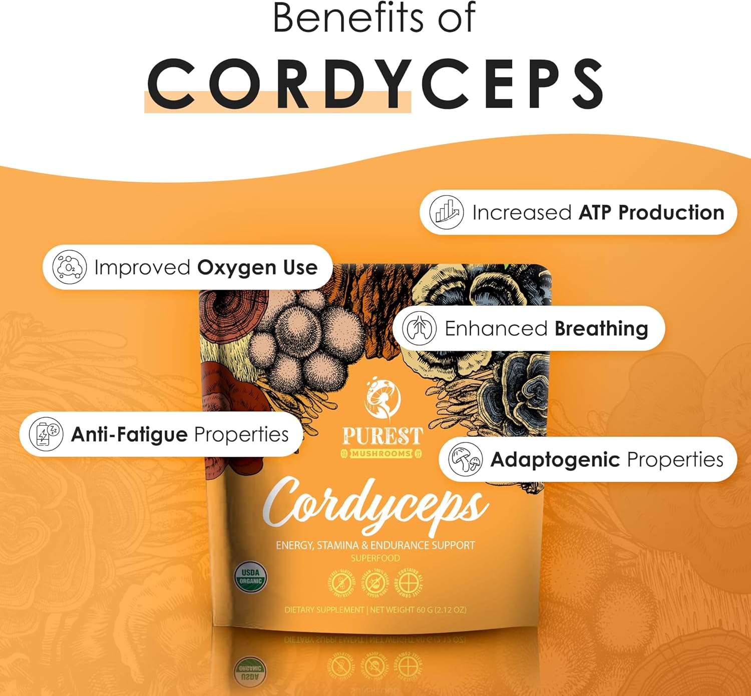 Organic Cordyceps Mushroom Extract Powder for Energy, Stamina & Endurance Support - 60g Purest Mushrooms Cordyceps Powder