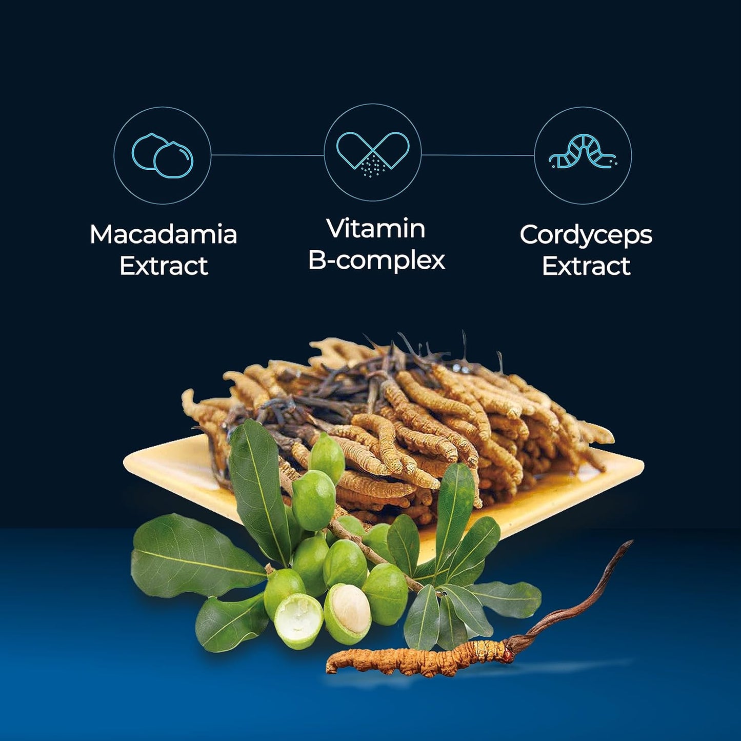 Organic Cordyceps Mushroom & Macadamia Blend Liquid Drops - Premium Energy & Immunity Supplement with Adaptogenic Mushrooms (Pack of 10)