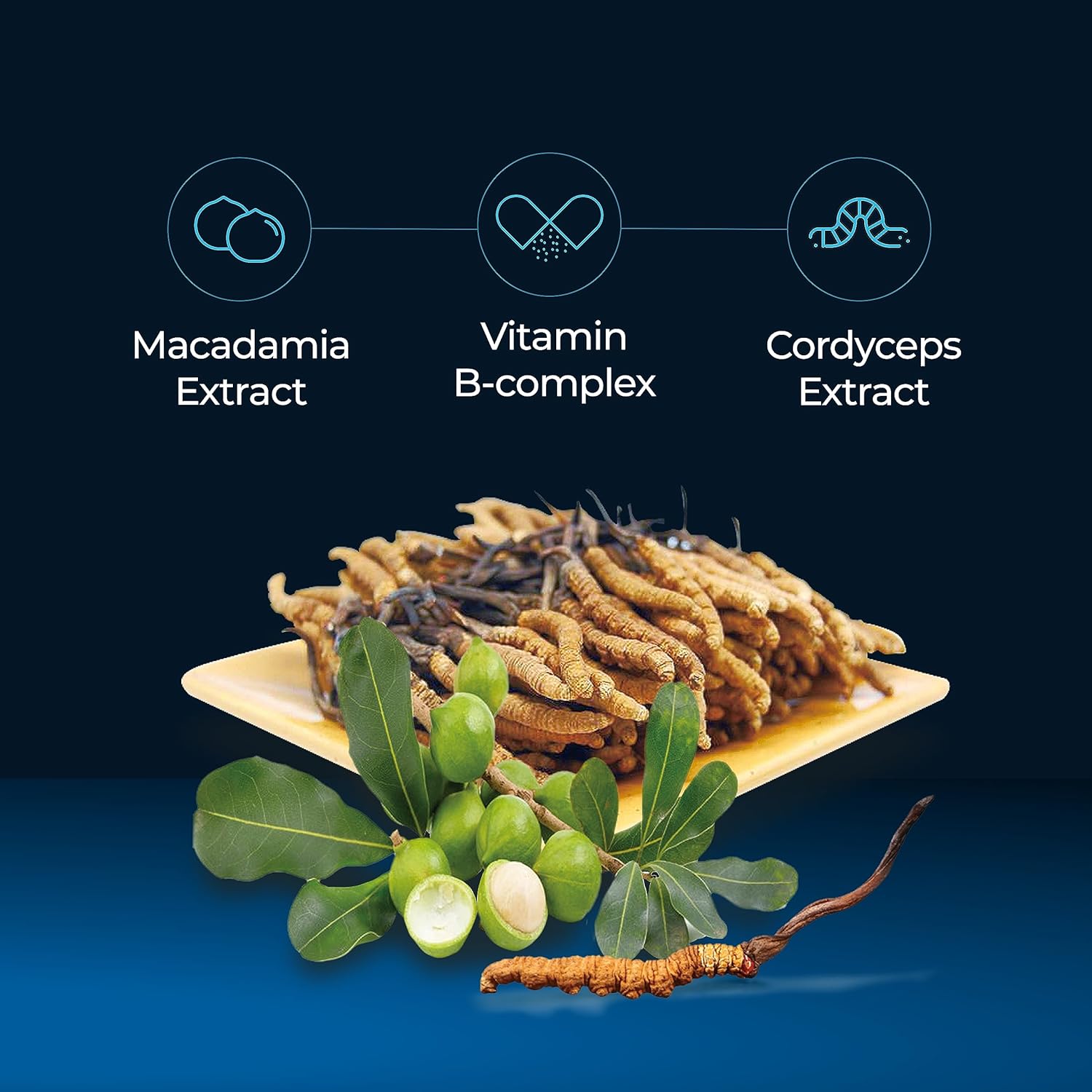 Organic Cordyceps Mushroom & Macadamia Blend Liquid Drops - Premium Energy & Immunity Supplement with Adaptogenic Mushrooms (Pack of 10)