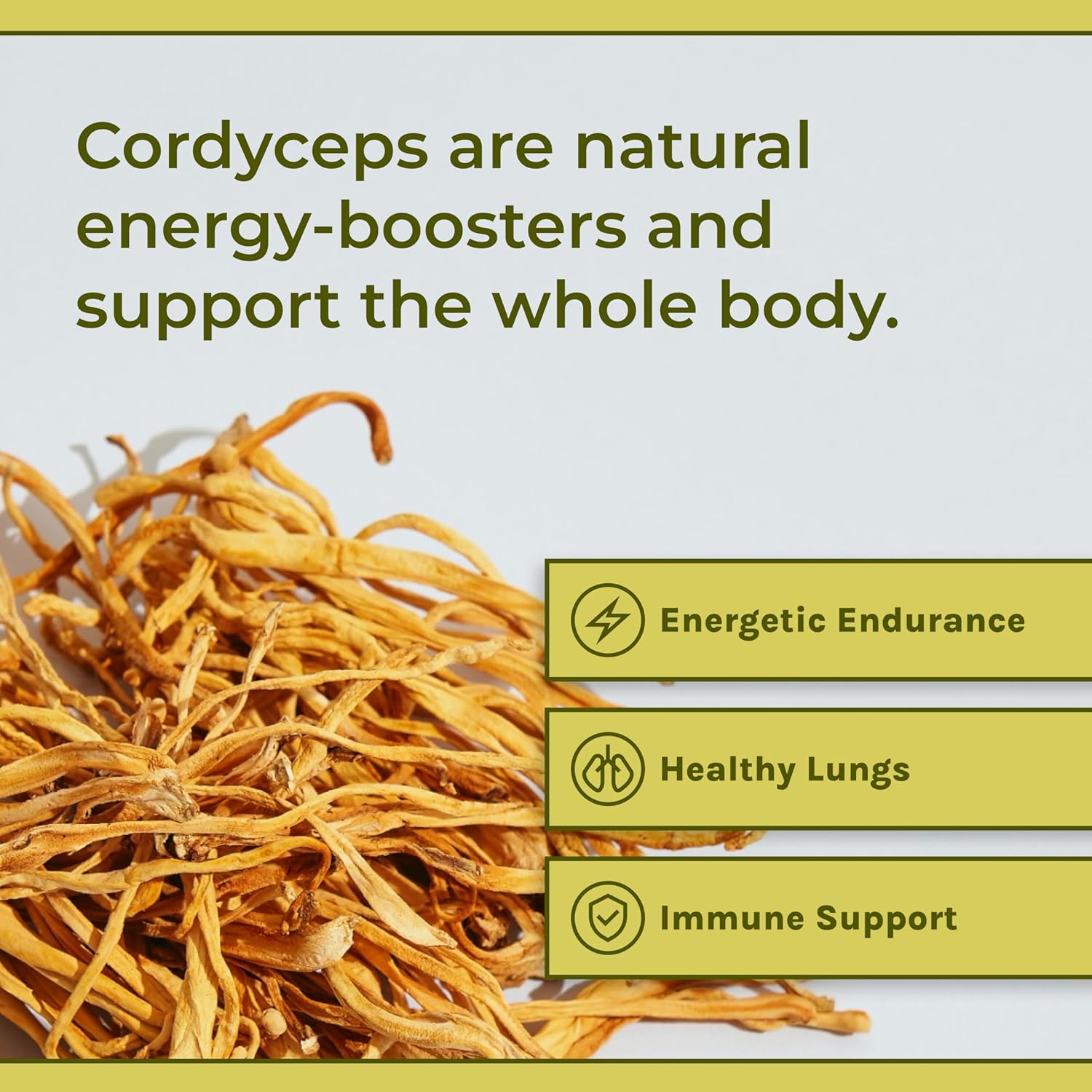 Organic Cordyceps Mushroom Powder Supplement for Energy, Endurance & Immune Support - Vegan, Non-GMO Formula - 60-Day Supply