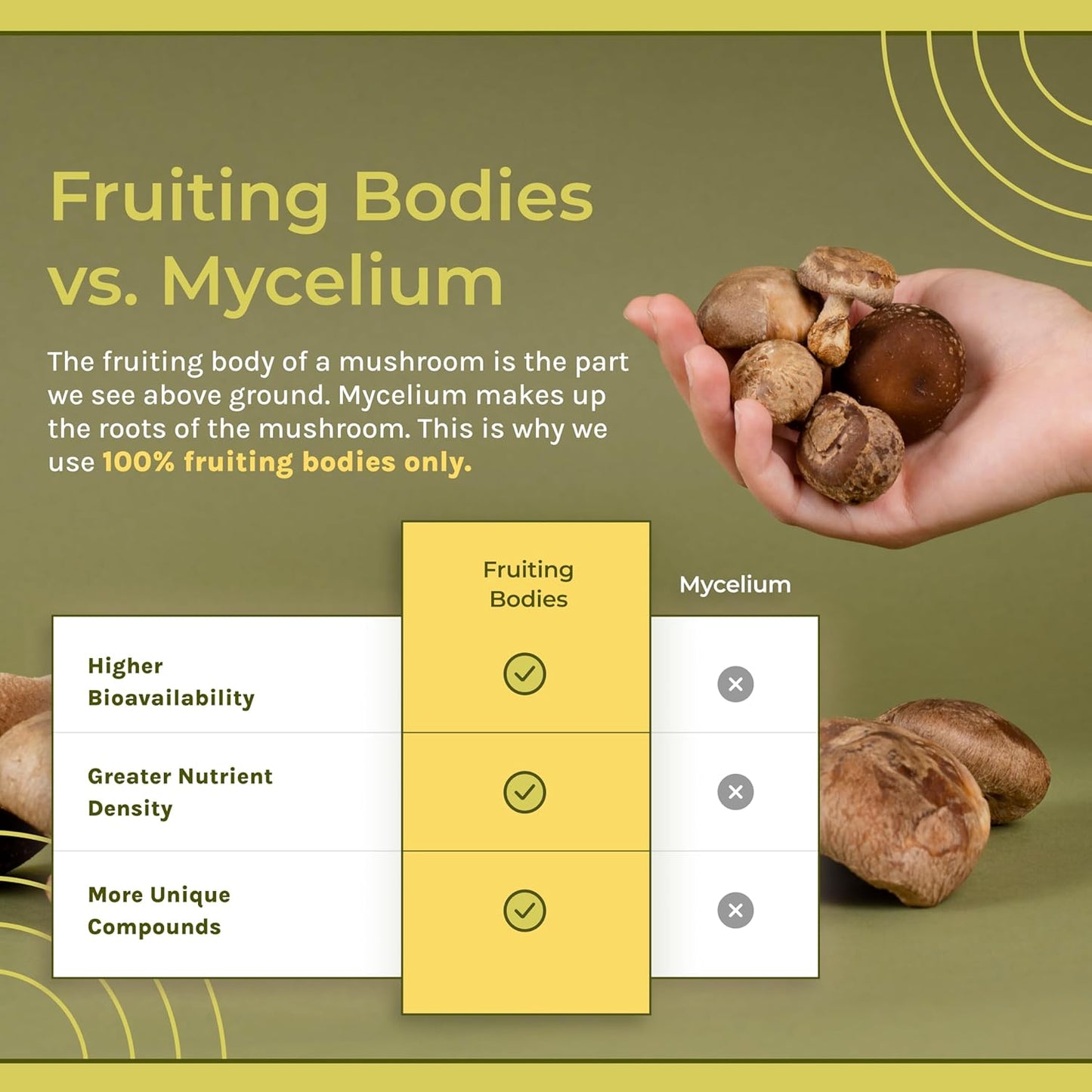 Organic Cordyceps Mushroom Powder Supplement for Energy, Endurance & Immune Support - Vegan, Non-GMO Formula - 60-Day Supply