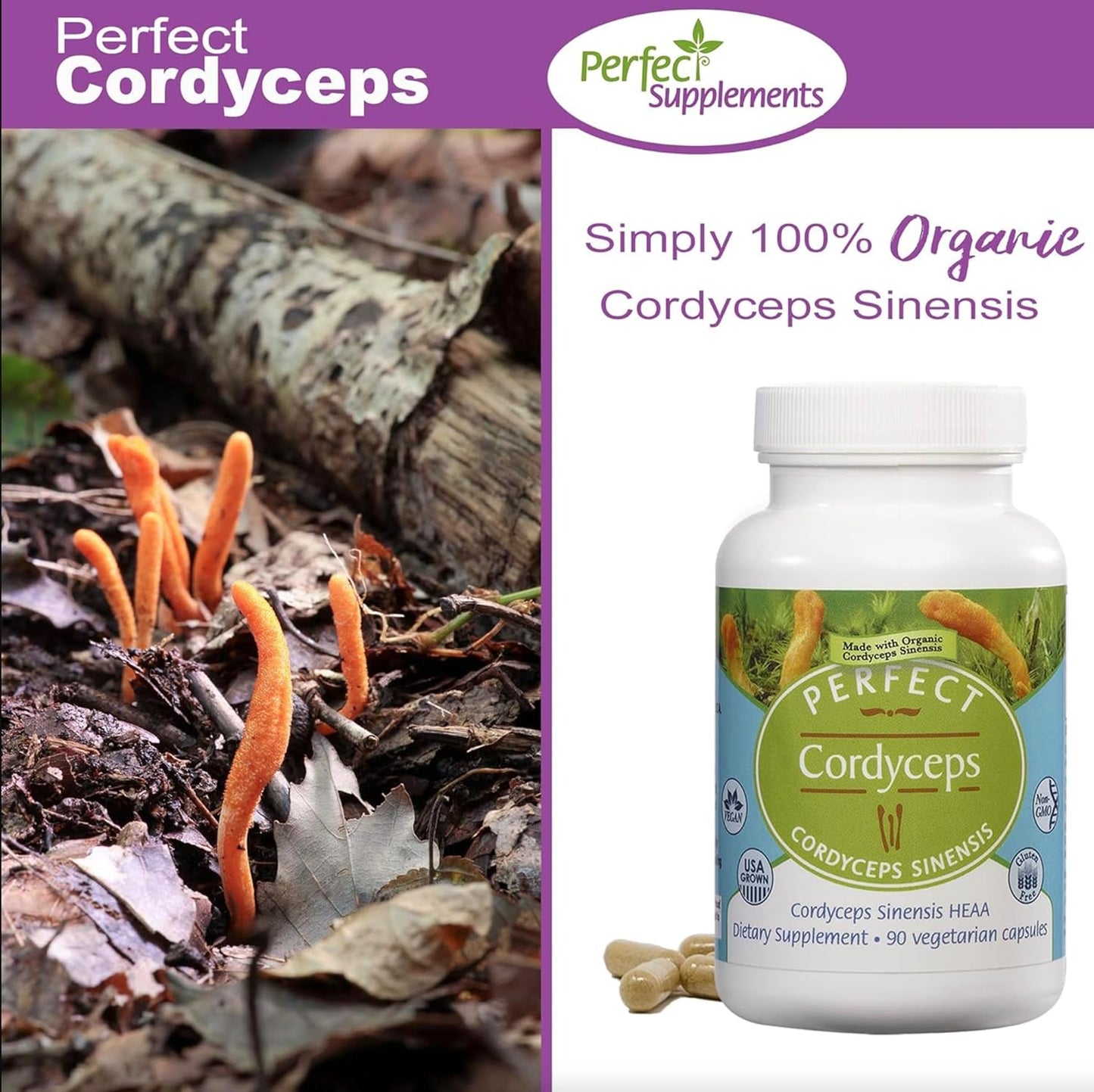 Organic Cordyceps Supplement - 90 Vegetable Capsules - Boost Energy, Endurance & Strength - Adaptogenic Herbal Formula