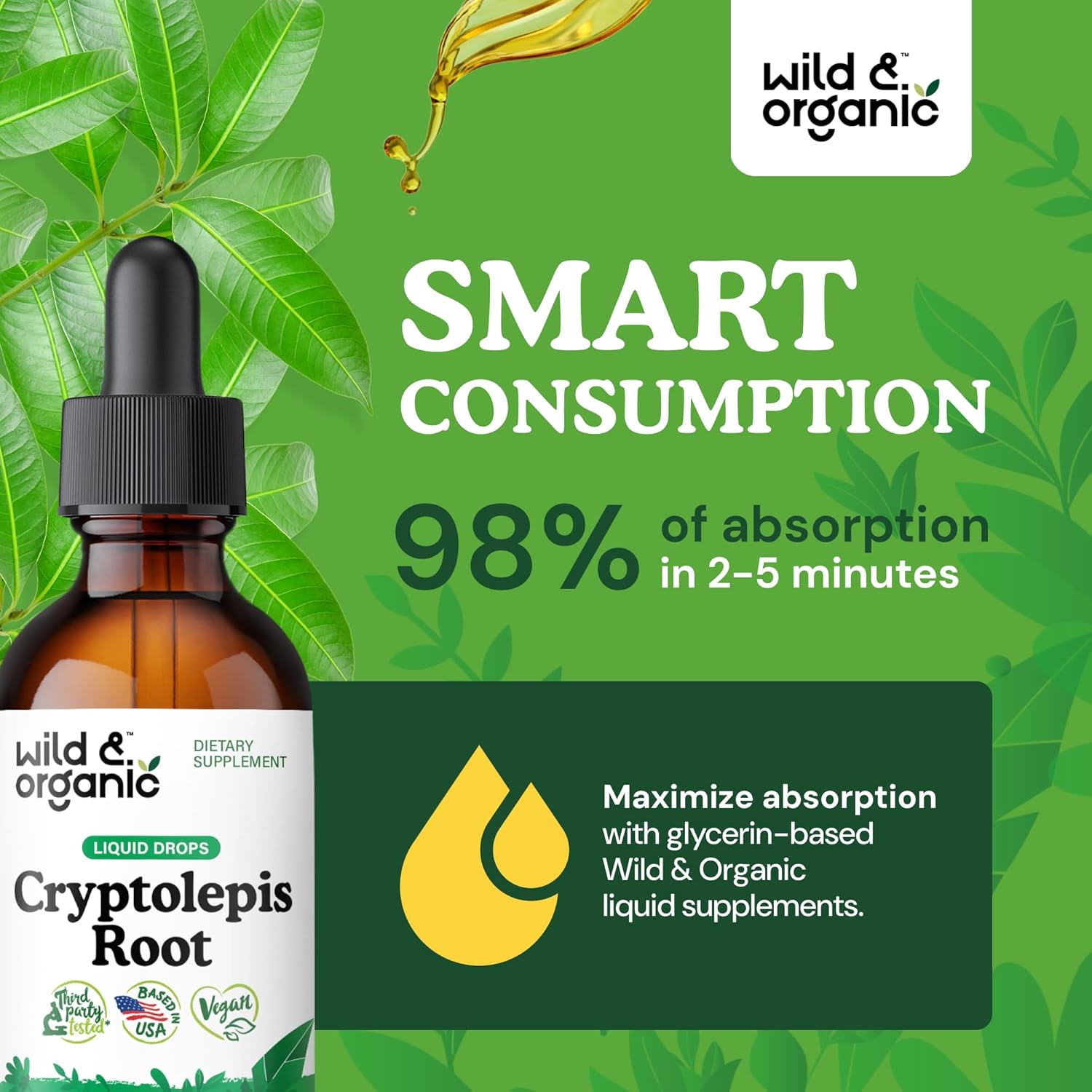 Organic Cryptolepis Sanguinolenta Tincture - Detox & Immune Support - 1-Month Supply - Liquid Drops - Vegan & Alcohol-Free - 2 fl oz