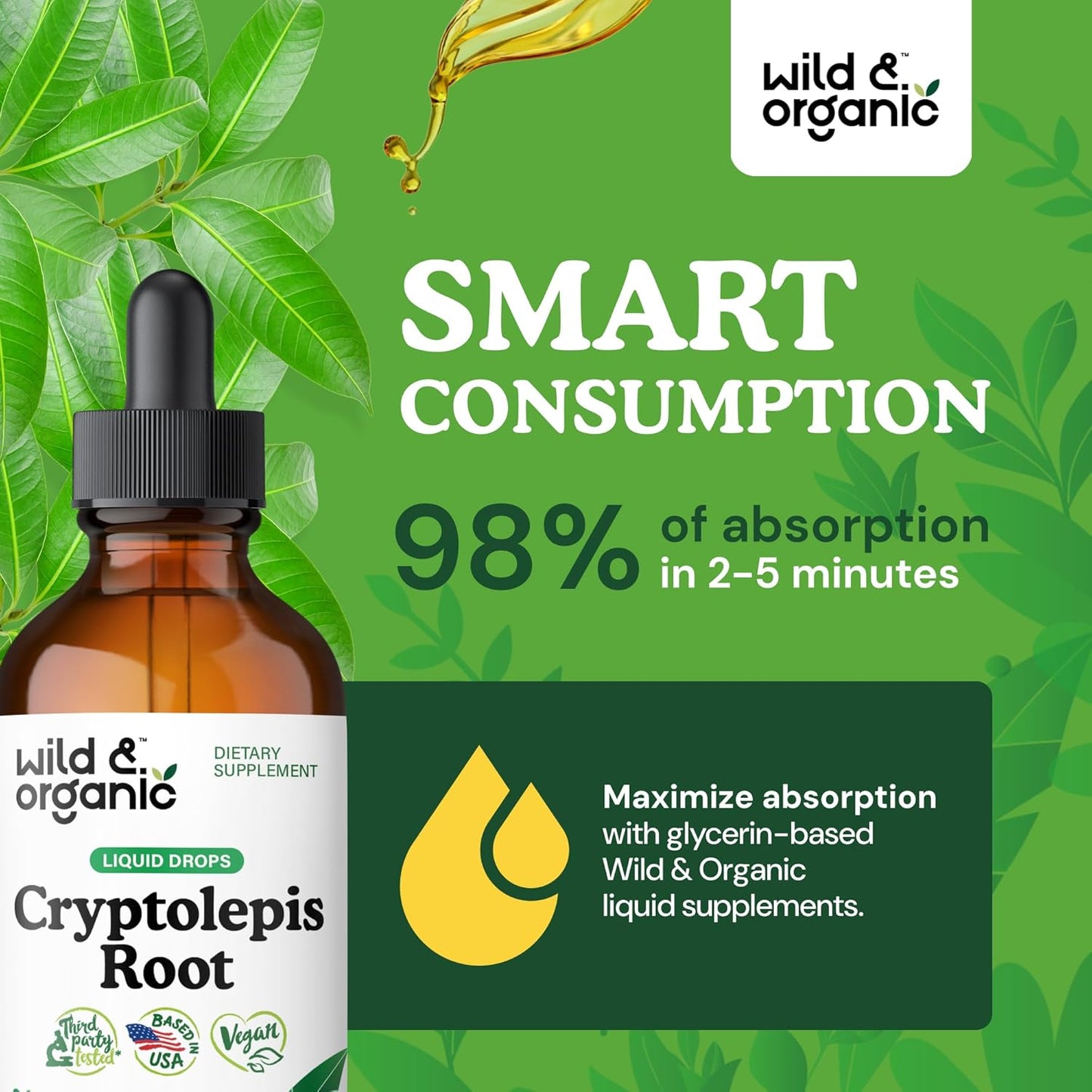 Organic Cryptolepis Tincture for Detox & Immune Support - 2-Month Supply - Liquid Root Extract - Vegan & Alcohol-Free - 4 fl oz