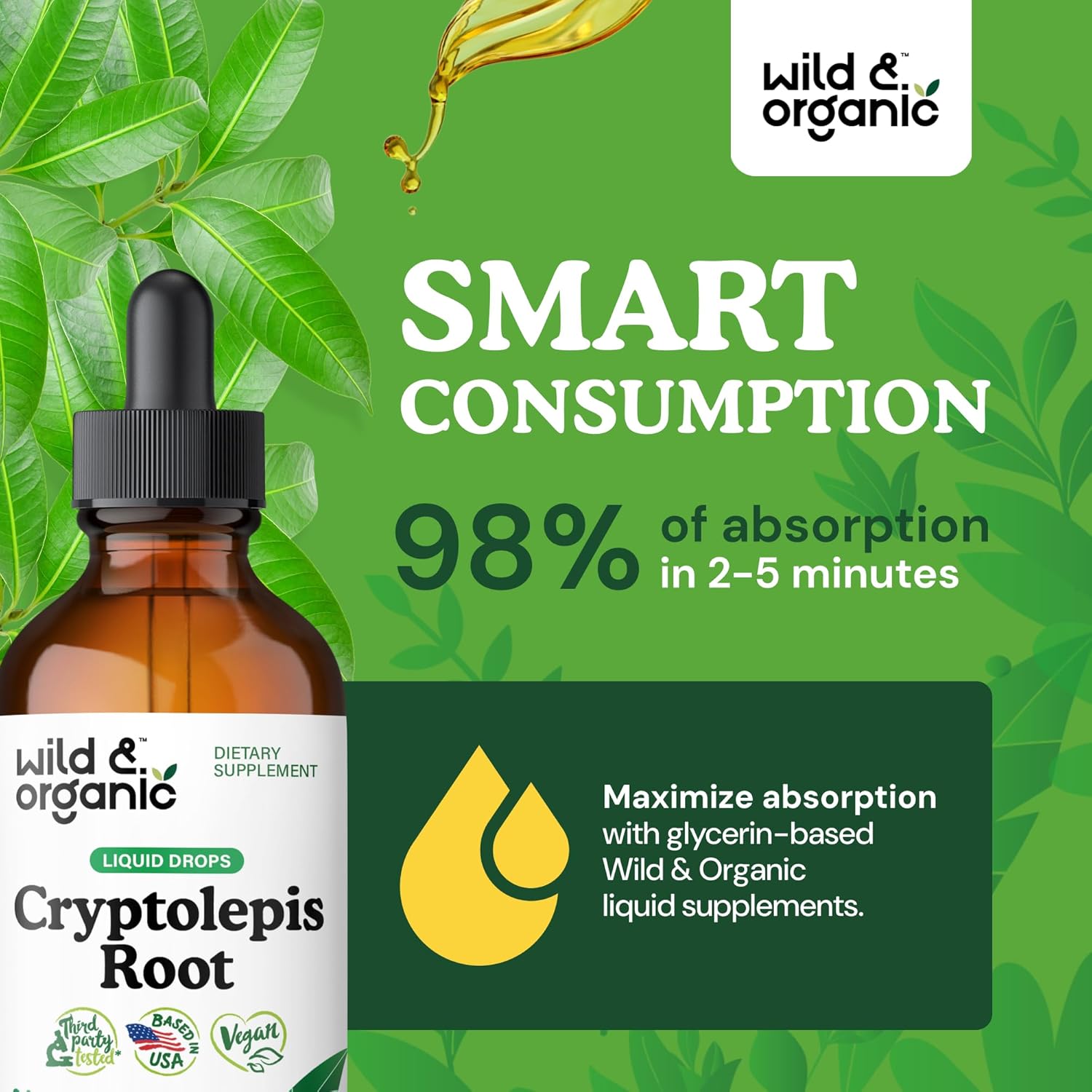 Organic Cryptolepis Tincture for Detox & Immune Support - 2-Month Supply - Liquid Root Extract - Vegan & Alcohol-Free - 4 fl oz