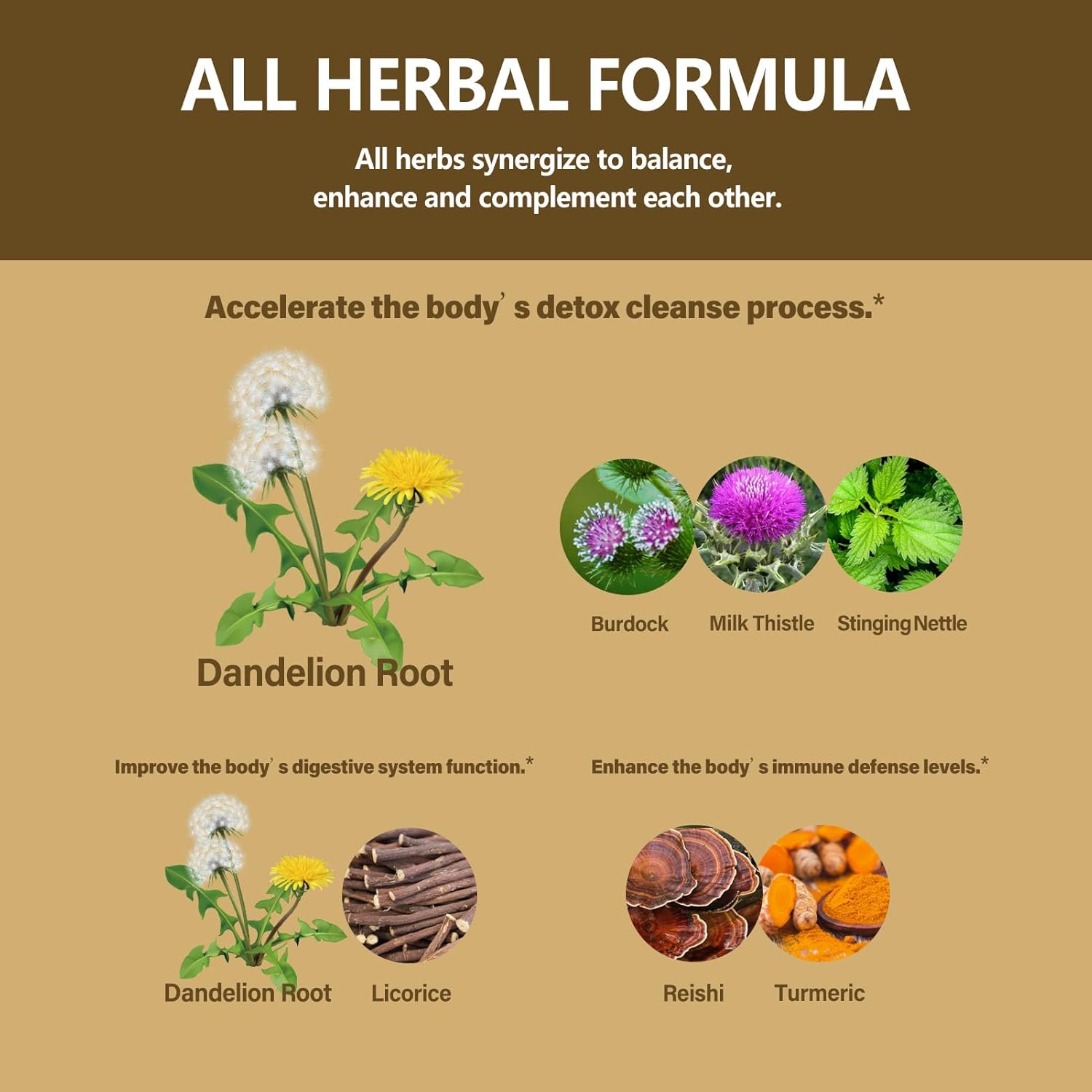 Organic Dandelion Root Extract Drops with Milk Thistle and Turmeric for Detox & Immune Support - 2oz Alcohol-Free Tincture