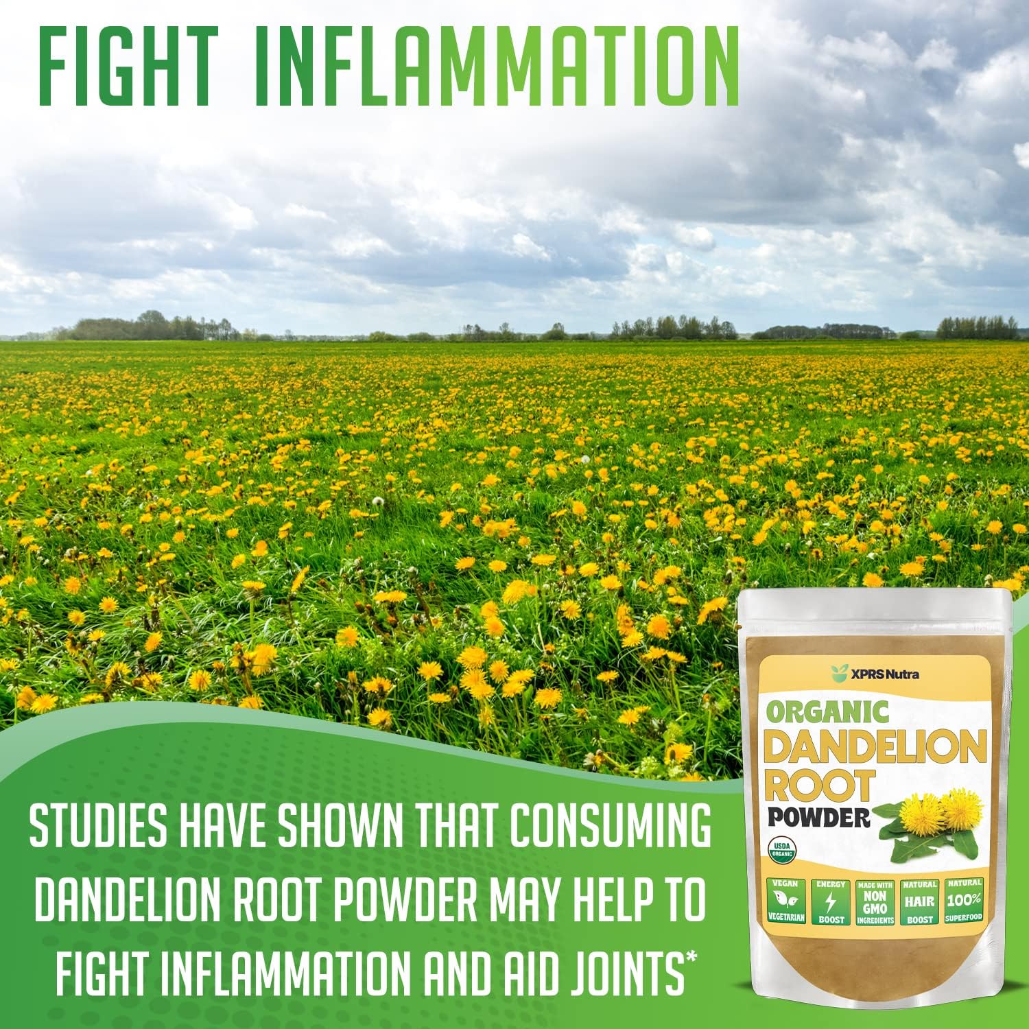 Organic Dandelion Root Powder - Vegan Antioxidant Liver Support - Tea & Beverage Boost - Immune Boosting Powder (16 oz)