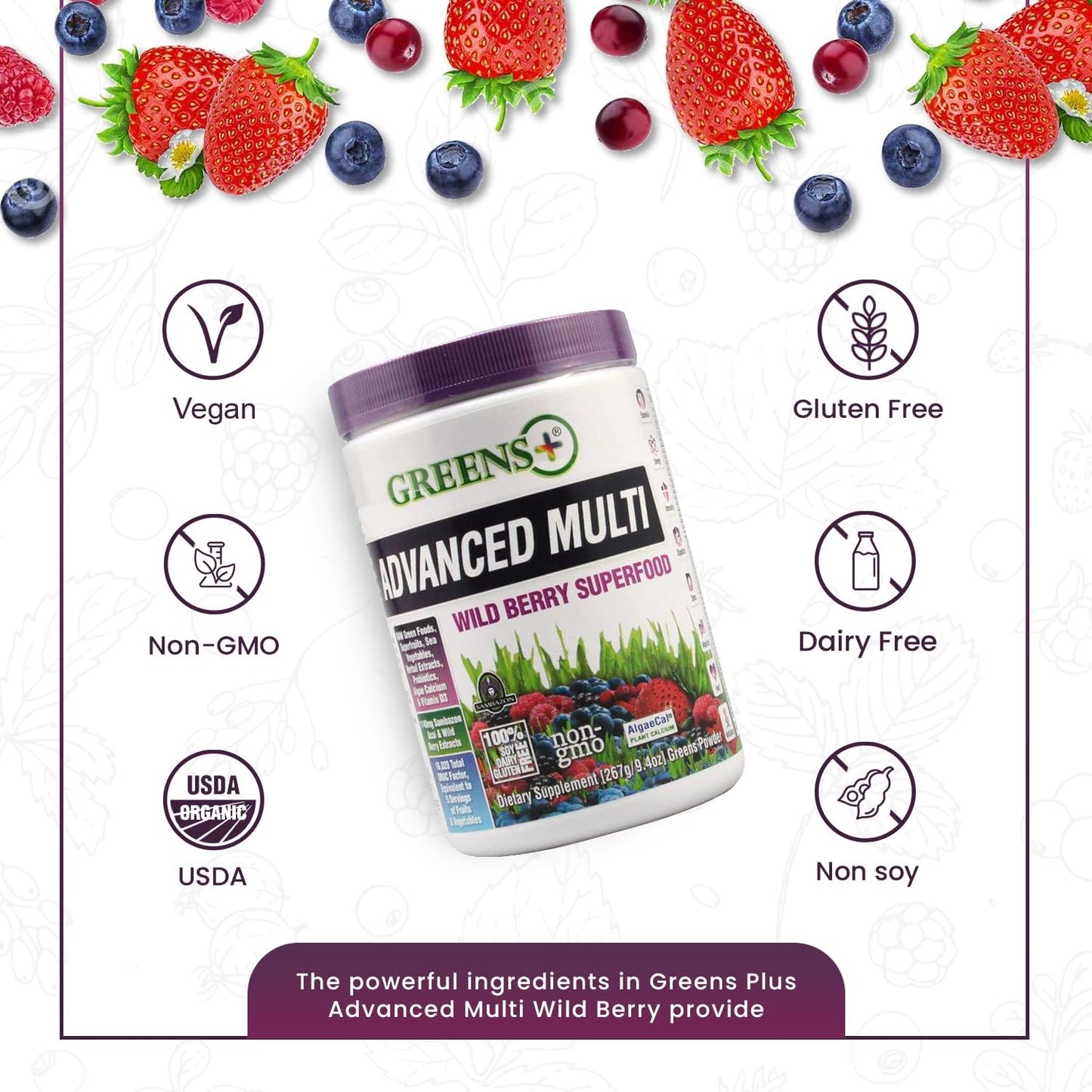 Organic Dark Chocolate Wild Berry Greens+ Superfood with Protein - Vegan, Non GMO, Gluten Free - Set of 2