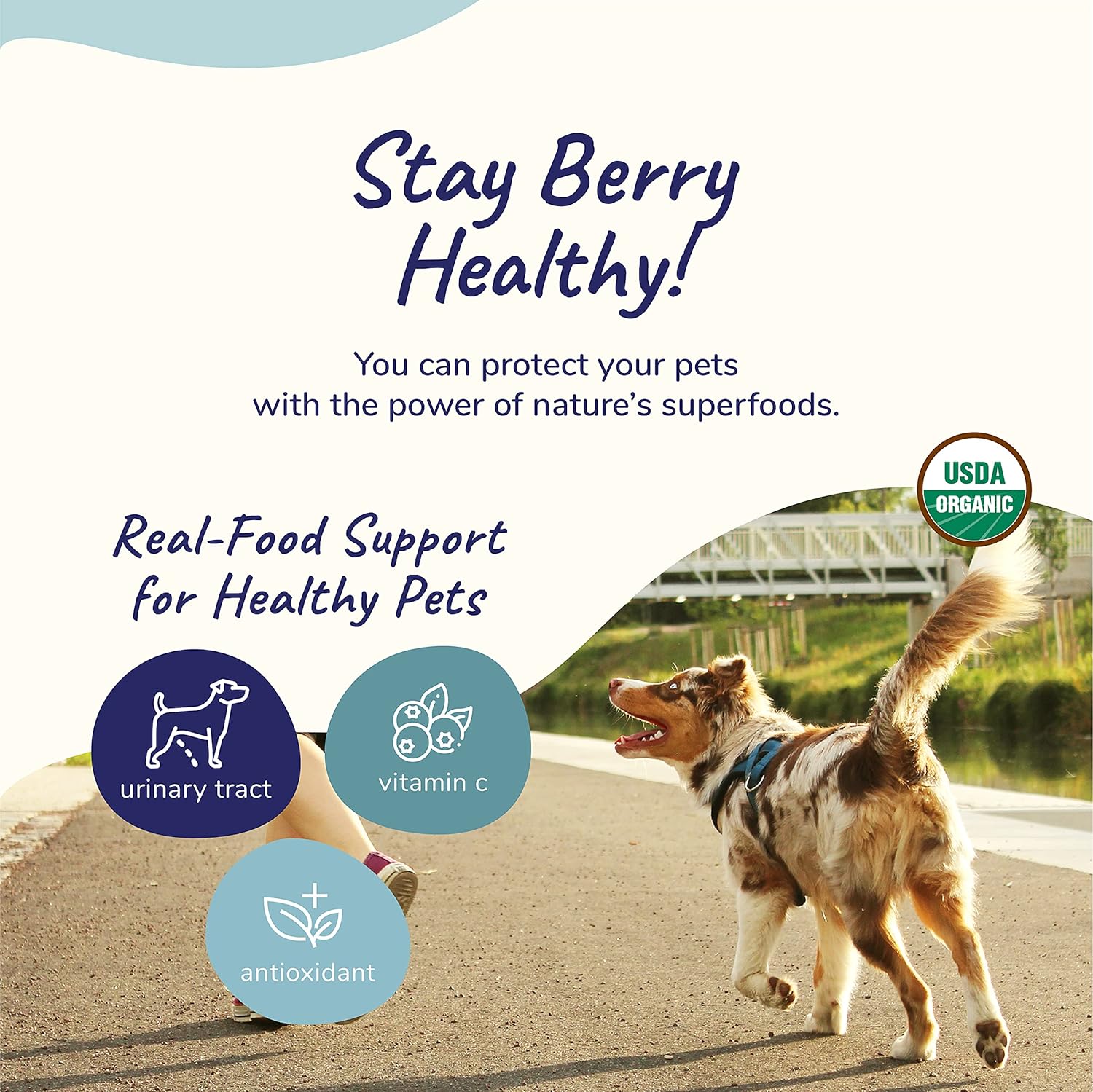 Organic Dog & Cat Supplement Powder for Immune & Bladder Support - Made in USA - Cranberry, Blueberry, Coconut Formula - Large 8oz Size