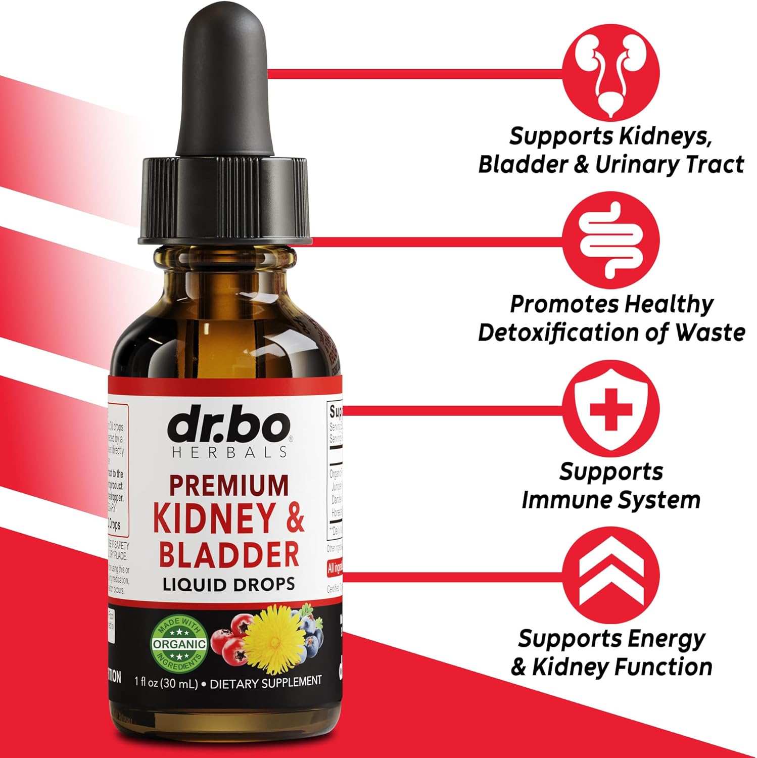 Organic Dr. BO Kidney Bladder & Lymphatic Support Liquid Cleanse - Renal Detox Urinary Tract System - Supplements Drops for Kidney Bladder & Lymphatic Drainage