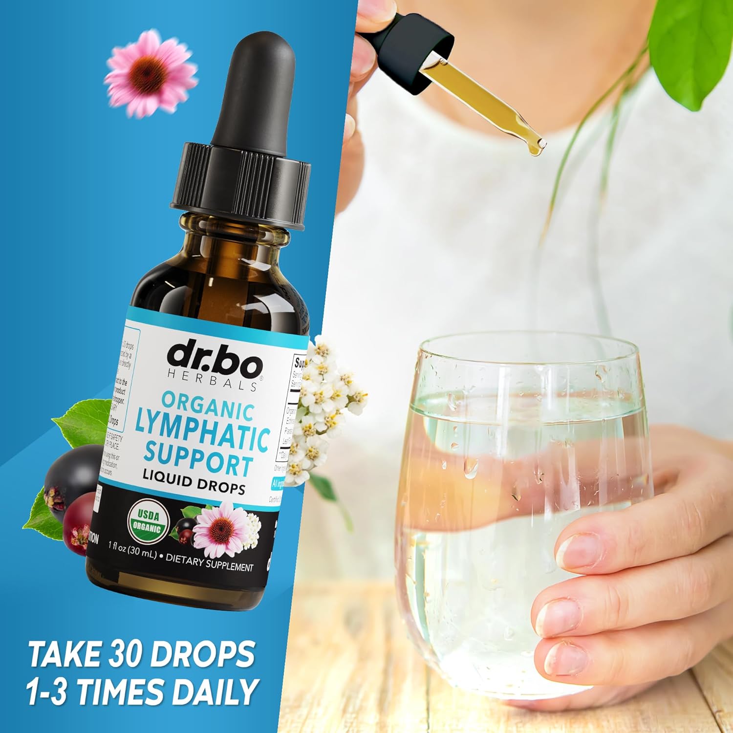 Organic Dr. BO Kidney Bladder & Lymphatic Support Liquid Cleanse - Renal Detox Urinary Tract System - Supplements Drops for Kidney Bladder & Lymphatic Drainage