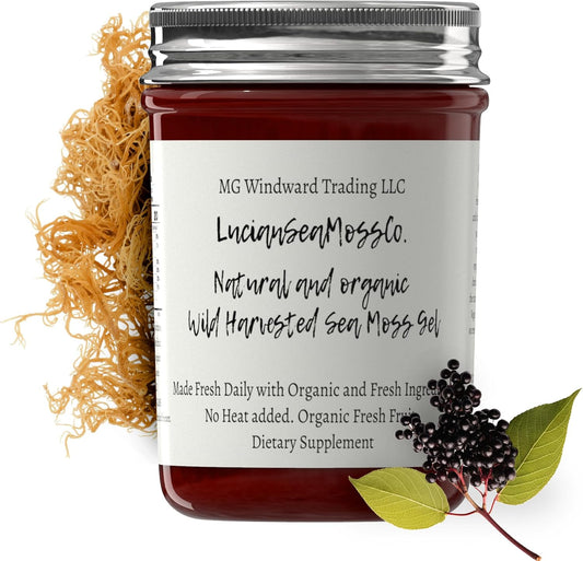 Organic Dr. Sebi Inspired Elderberry Sea Moss Gel with Ginger - Rich in Vitamins & Antioxidants from Saint Lucia (8 oz.)