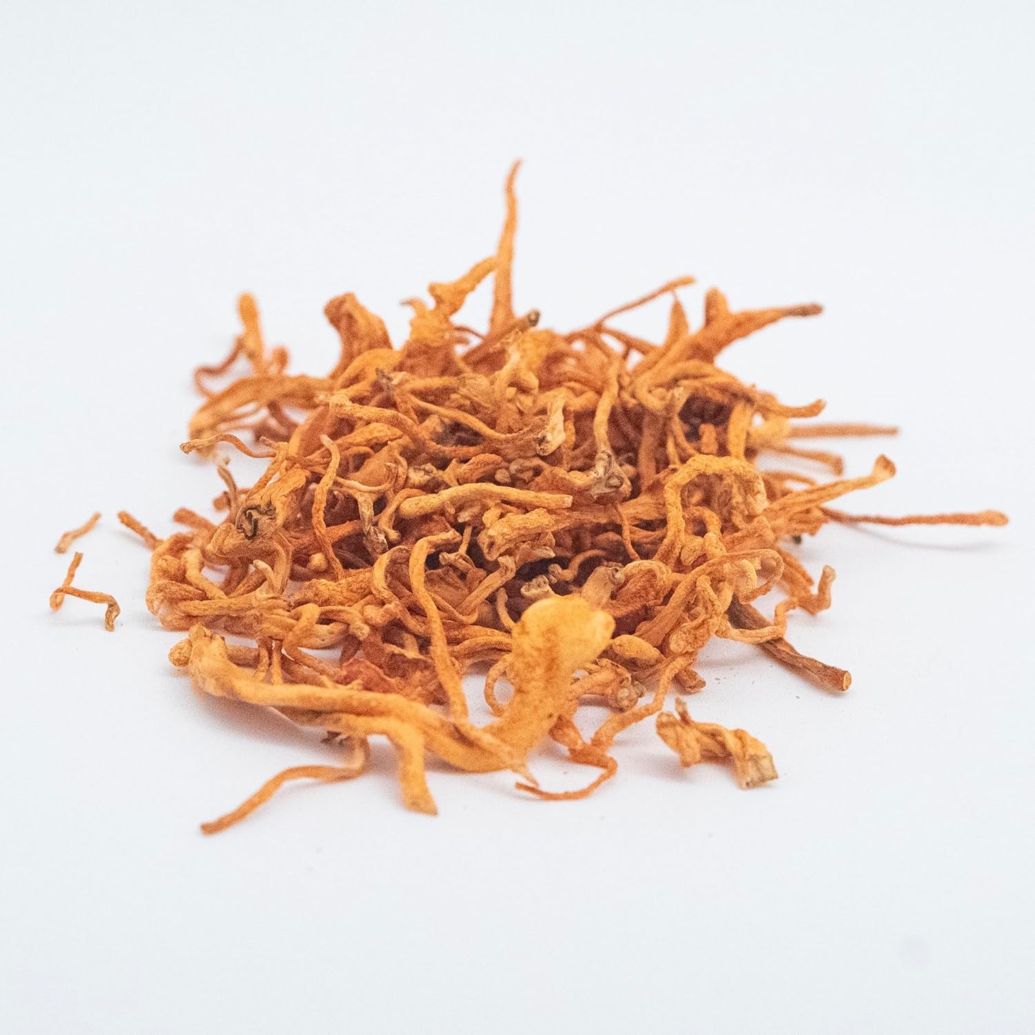 Organic Dried Cordyceps from Hodgins Harvest - USA Grown and Certified