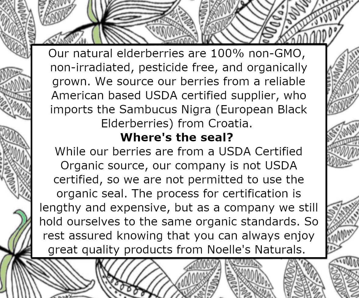 Organic Dried Whole Elderberries - 1lb Bulk Pack for Making Elderberry Syrup, Tea, Gummies - Non-GMO Elder Berry - Immune Support - Wholesale Elderberries