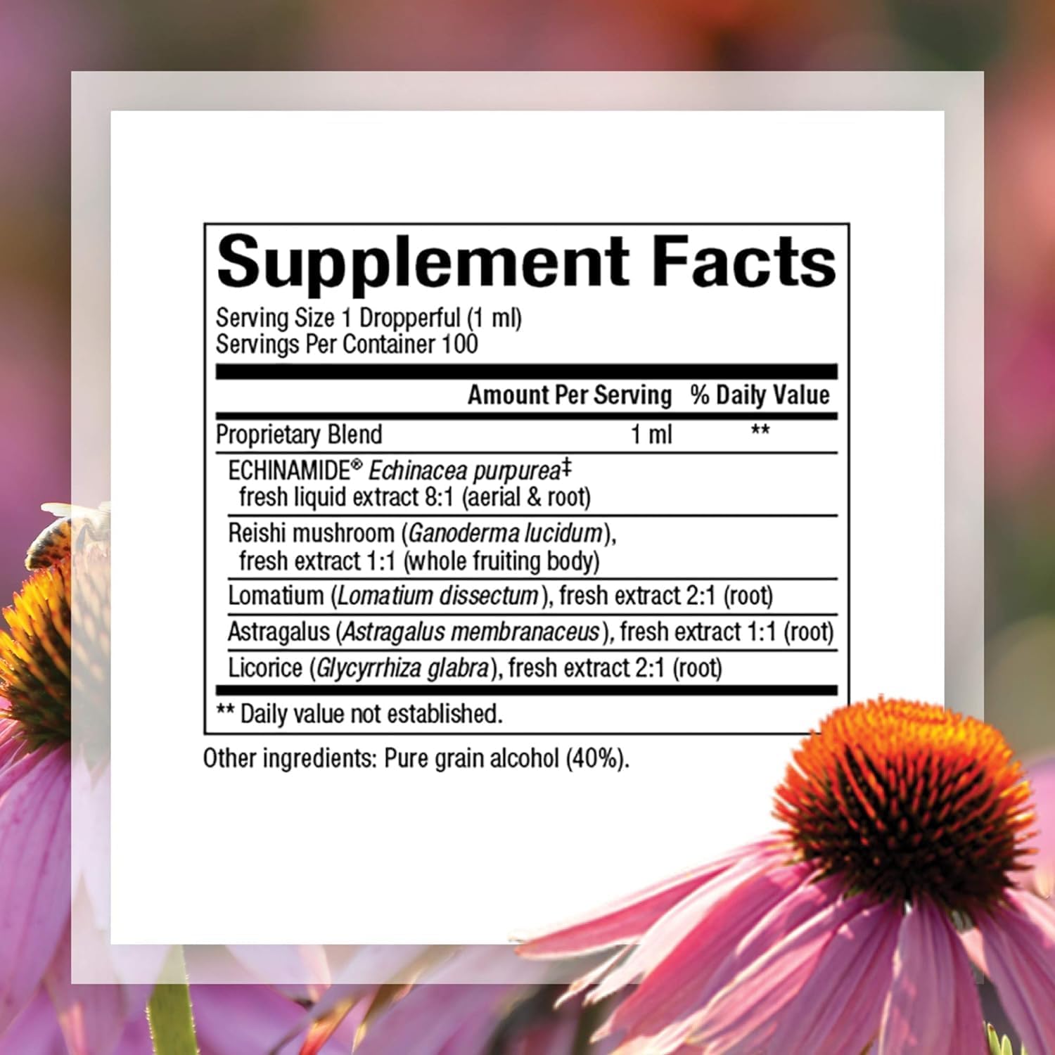 Organic Echinacea Supplement for Immune Support - Natural Factors Anti-V Liquid Formula, Non-GMO, 3.4 oz