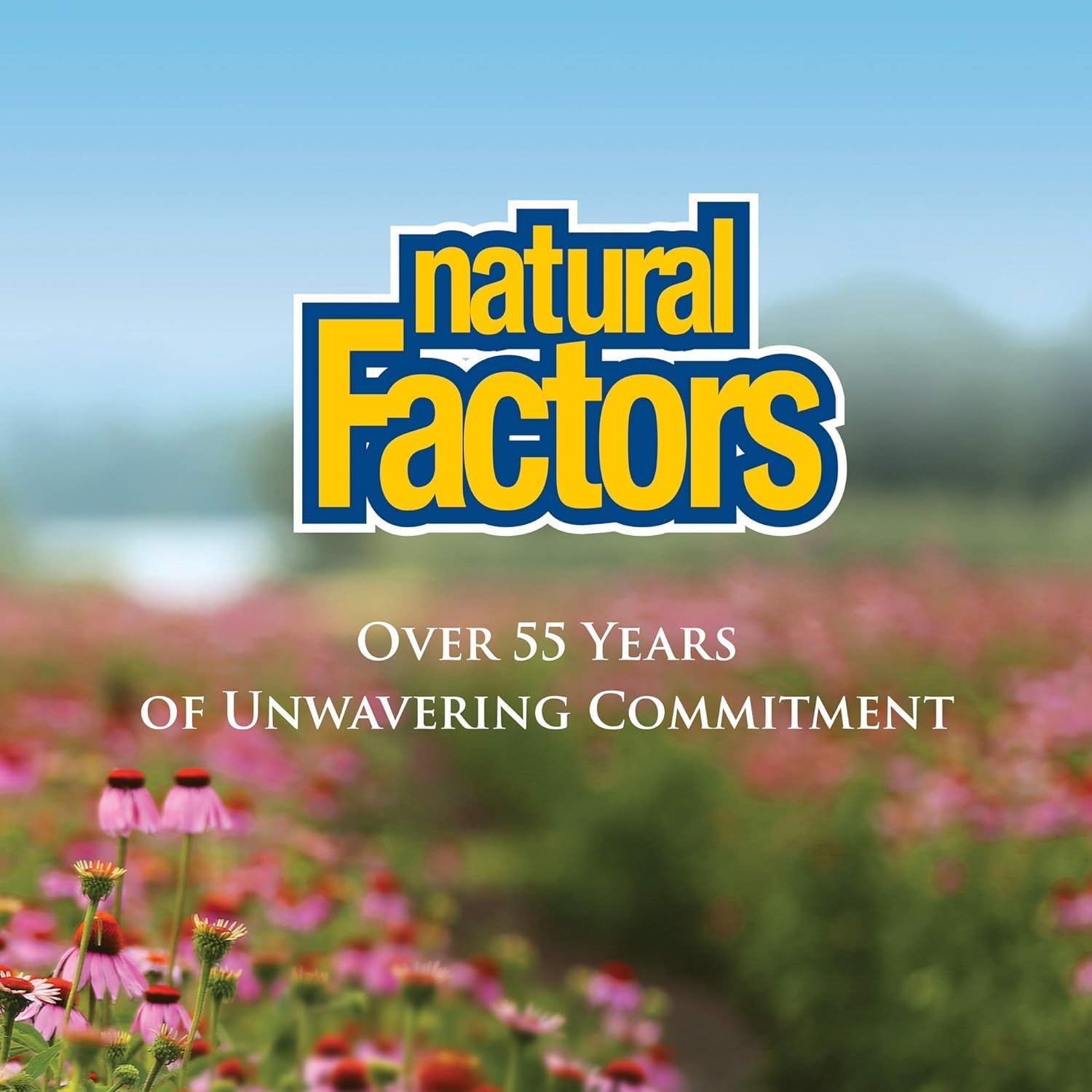 Organic Echinacea Supplement for Immune Support - Natural Factors Anti-V Liquid Formula, Non-GMO, 3.4 oz