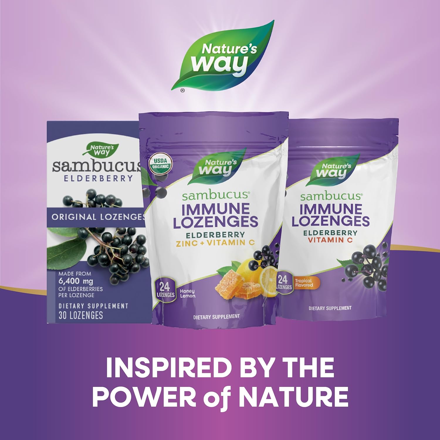 Organic Elderberry Immune Support Lozenges with Zinc & Vitamin C, Honey Lemon Flavor - 24 Count
