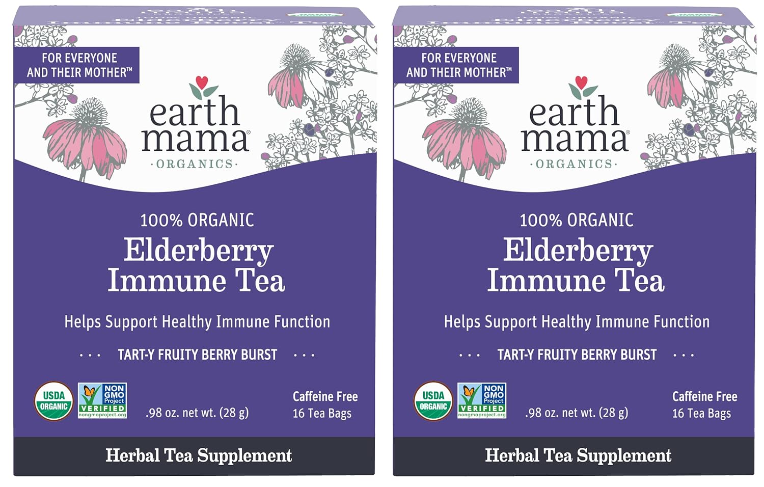 Organic Elderberry Immune Support Tea with Echinacea for Pregnancy, Breastfeeding & Kids | Ginger & Rooibos Decaf Tea, 16-Count x 2