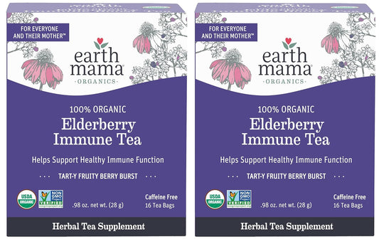 Organic Elderberry Immune Support Tea with Echinacea for Pregnancy, Breastfeeding & Kids | Ginger & Rooibos Decaf Tea, 16-Count x 2