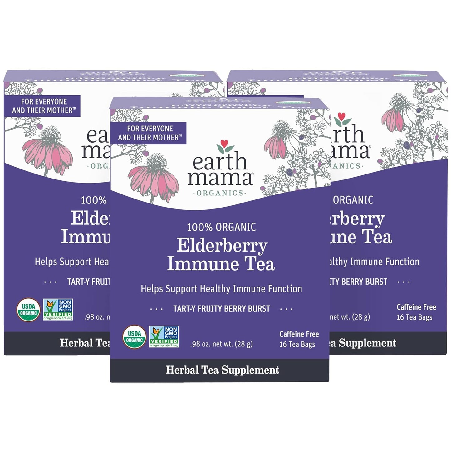 Organic Elderberry Immune Support Tea with Echinacea for Pregnancy, Breastfeeding, and Family | Decaf Ginger & Rooibos Tea, 16-Count (3-Pack)