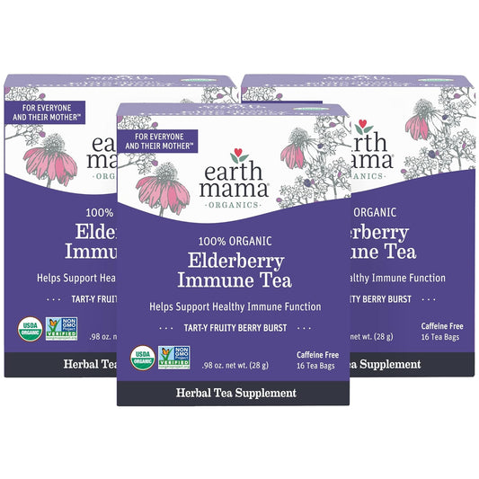 Organic Elderberry Immune Support Tea with Echinacea for Pregnancy, Breastfeeding, and Family | Decaf Ginger & Rooibos Tea, 16-Count (3-Pack)