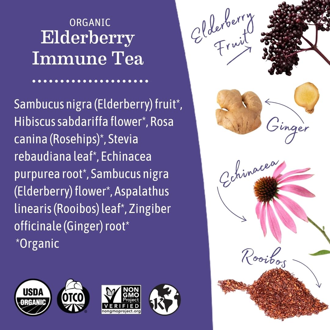 Organic Elderberry Immune Support Tea with Echinacea for Pregnancy, Breastfeeding, and Family | Decaf Ginger & Rooibos Tea, 16-Count (3-Pack)