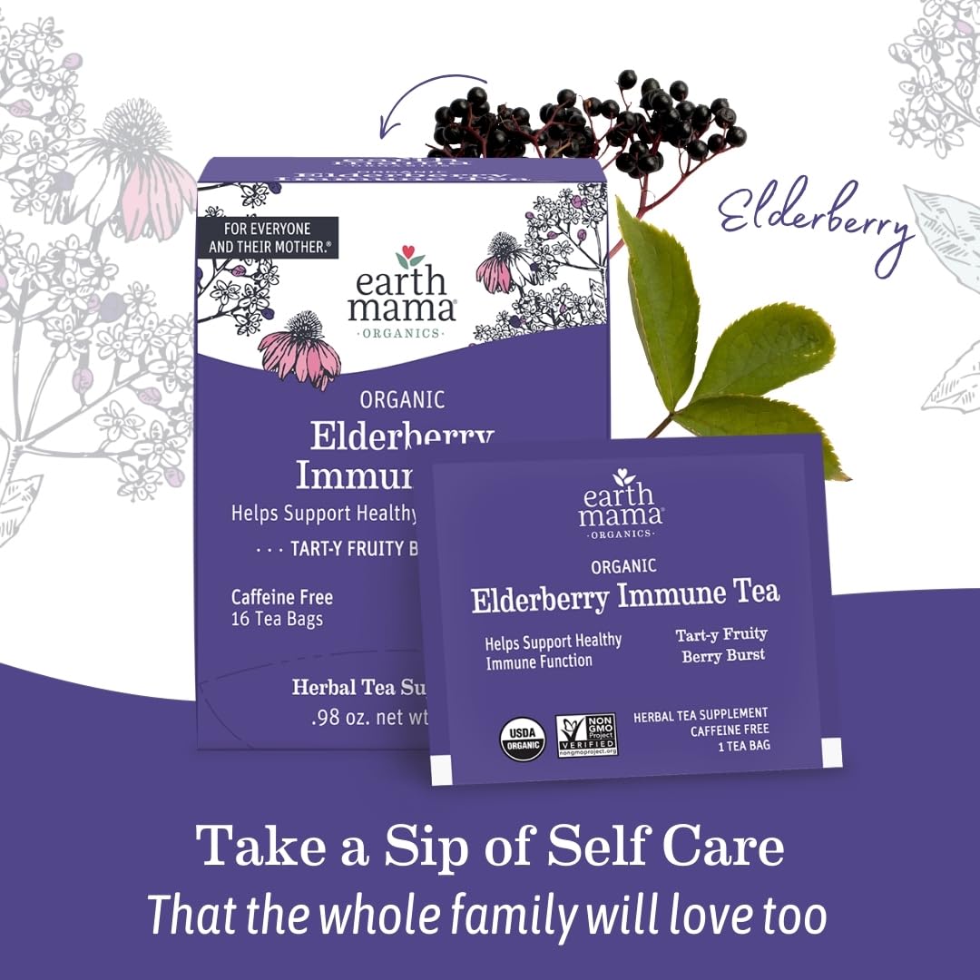 Organic Elderberry Immune Support Tea with Echinacea for Pregnancy, Breastfeeding, and Family | Decaf Ginger & Rooibos Tea, 16-Count (3-Pack)