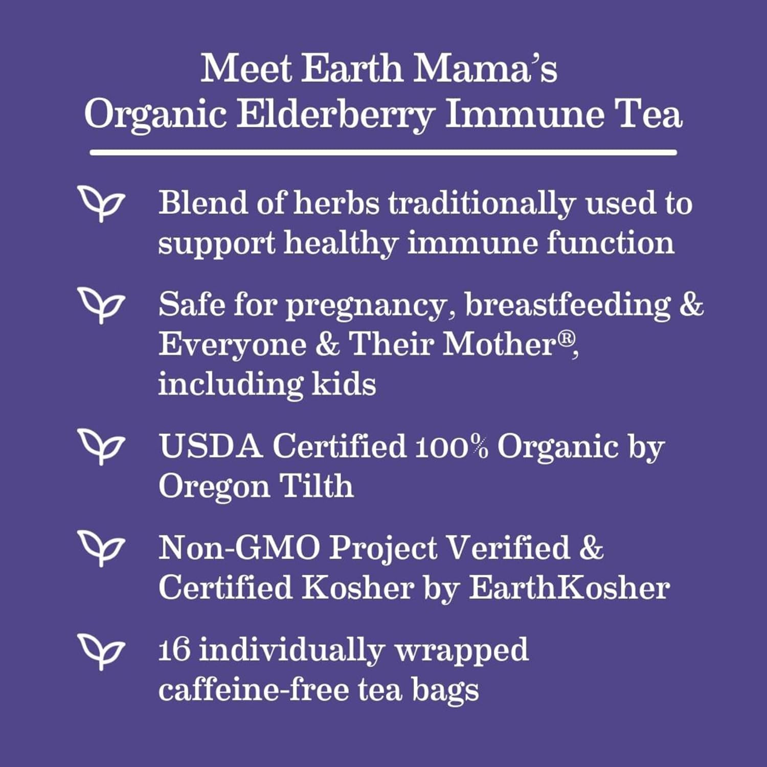 Organic Elderberry Immune Tea & Throat Smoothie for Wellness, Safe for Breastfeeding & Pregnancy, 16 Count x 2 Pack