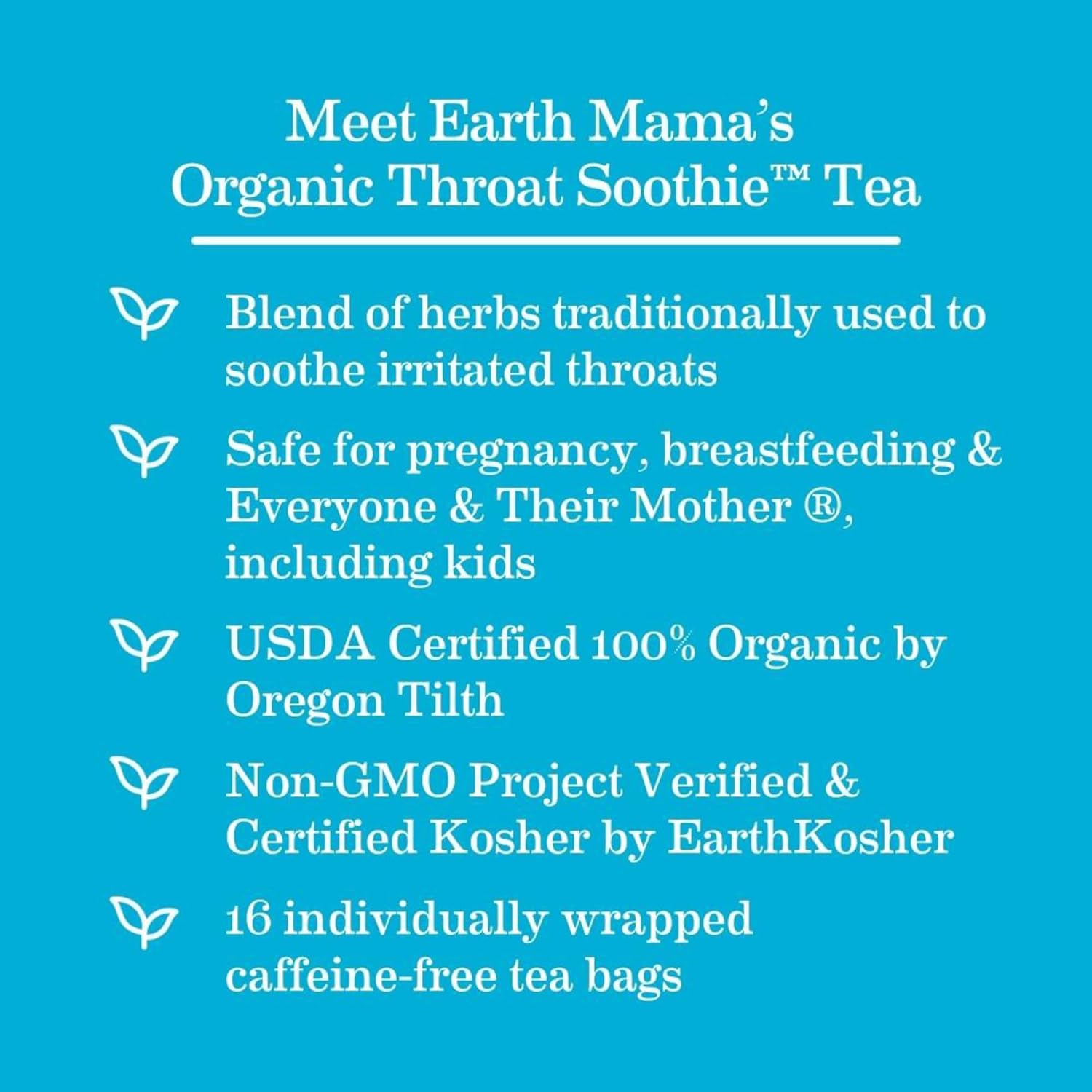 Organic Elderberry Immune Tea & Throat Smoothie for Wellness, Safe for Breastfeeding & Pregnancy, 16 Count x 2 Pack