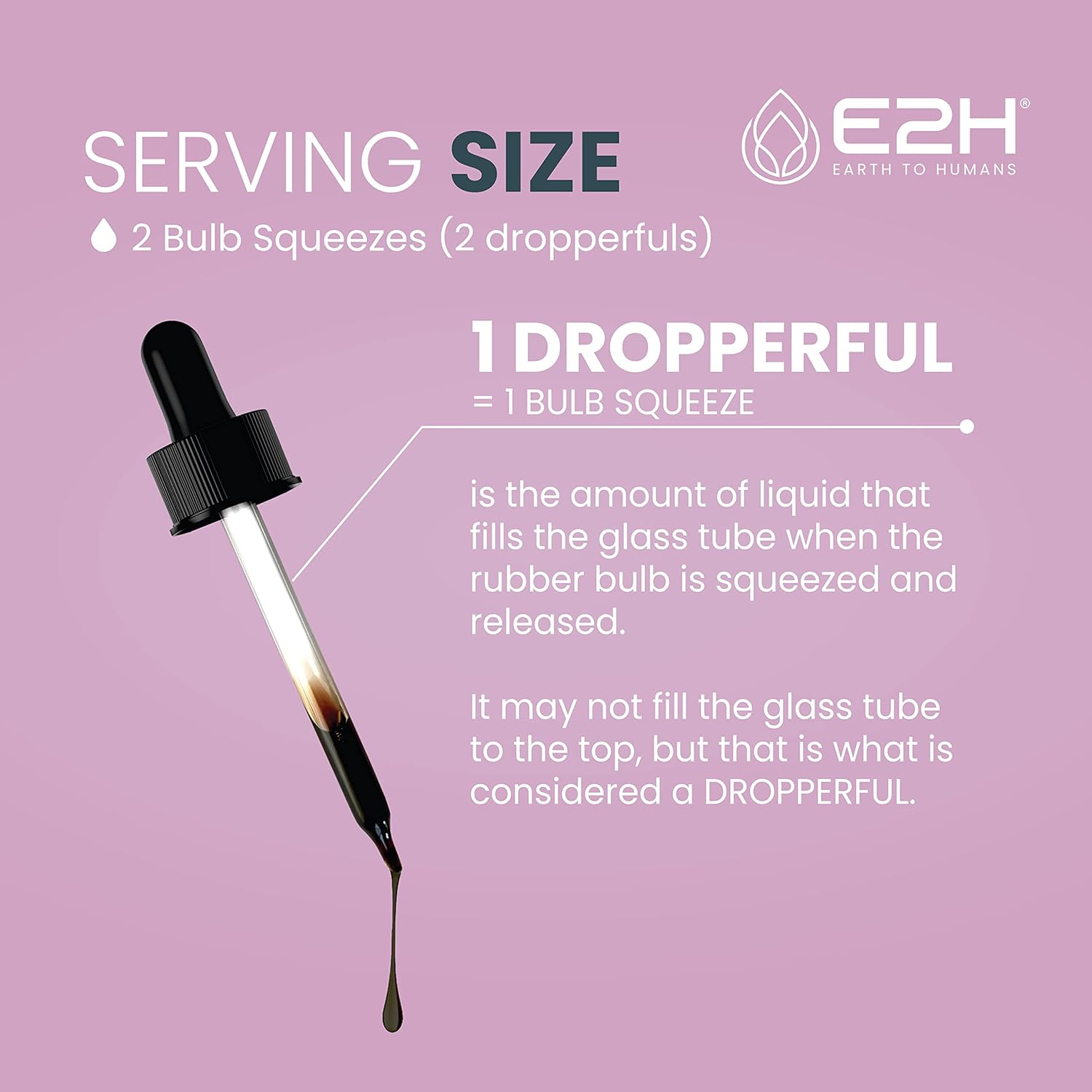 Organic Elderberry Syrup - Immune Support Supplement with Powerfull Antioxidants - Sambucus Elderberry Syrup for Kids & Adults - Non-GMO, Vegan - 2 Fl Oz