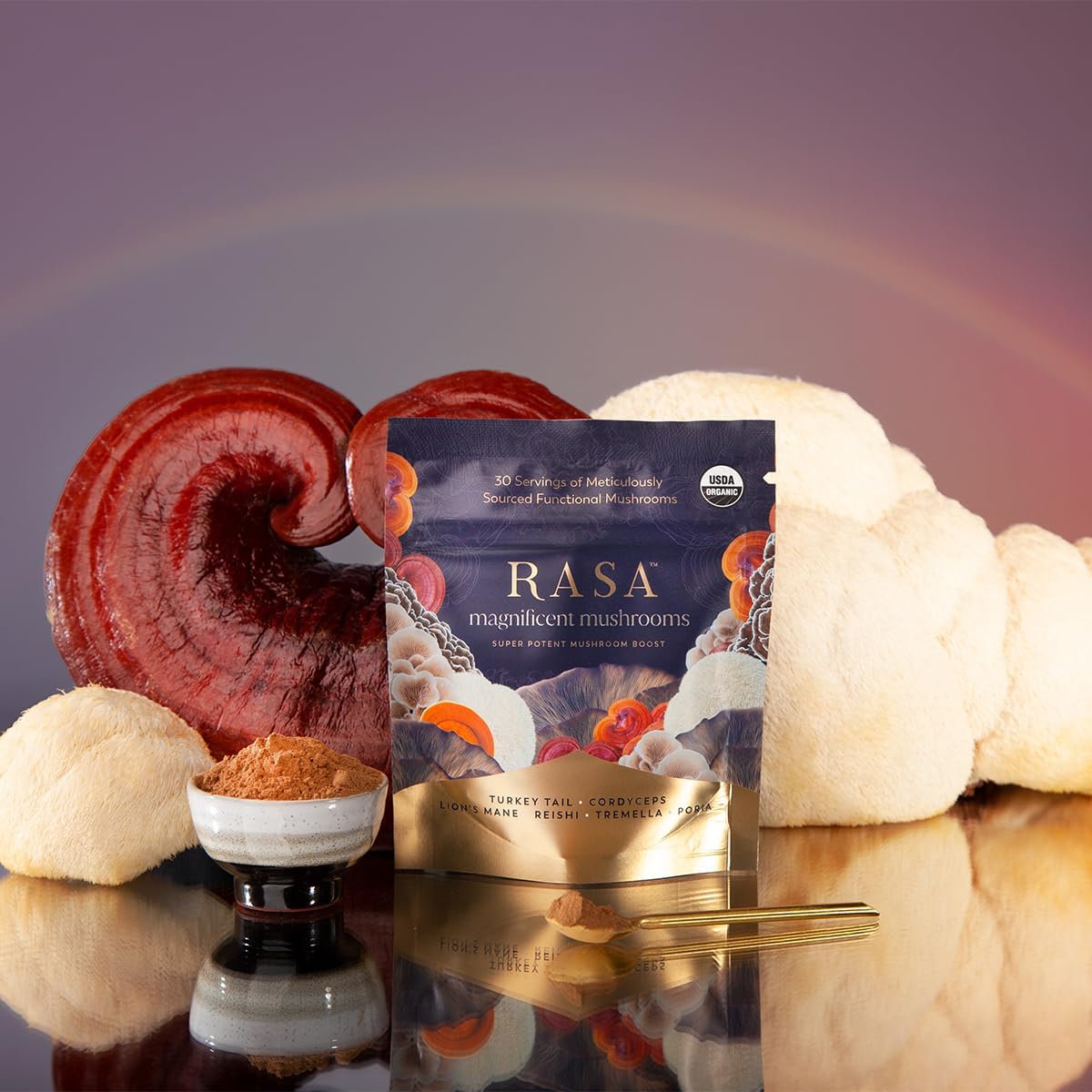 Organic Extra Potent Mushroom Blend Supplement - 100% Fruiting Bodies | Vegan & Gluten-Free | 1 oz Powder (30 Servings)