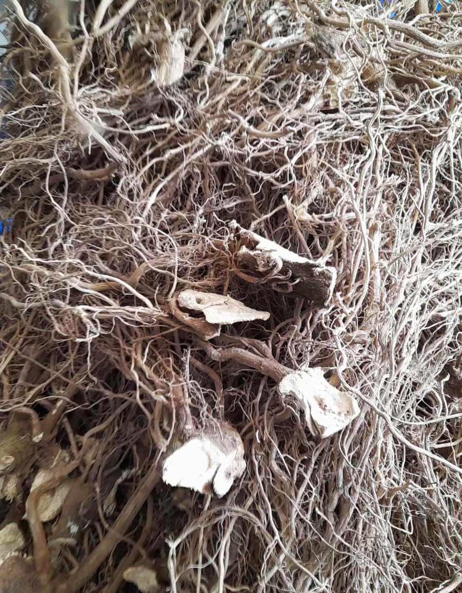 Organic Fiji Kava Powder - Premium Micronized Kava Root from 6yr Old Plants by Kava Pros