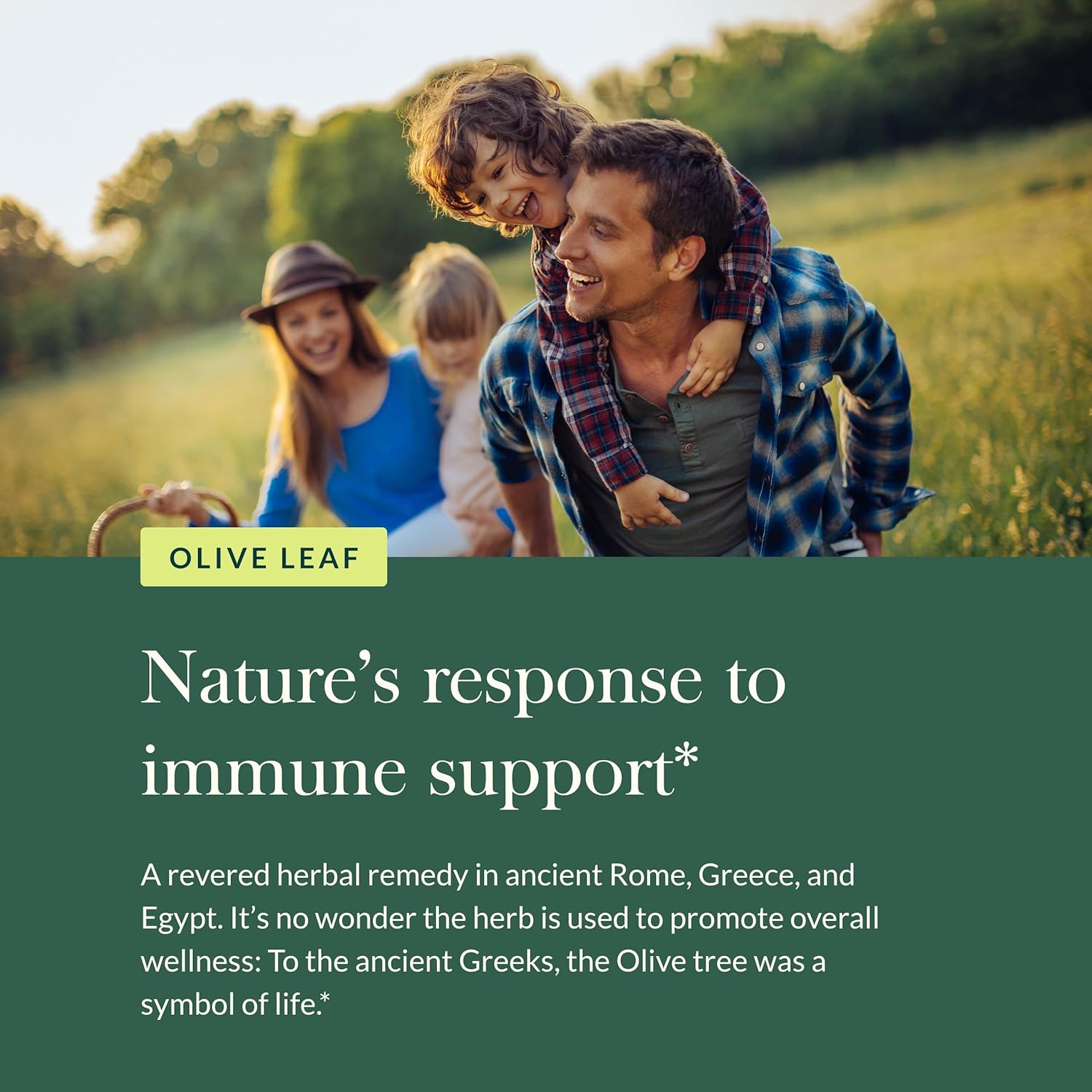 Organic Gaia Herbs Olive Leaf Liquid Extract, 1 fl oz for Immune Support