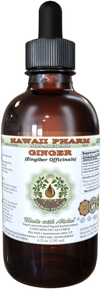 Organic Ginger Alcohol-Free Liquid Extract - 4 oz Glycerite Herbal Supplement by Hawaii Pharm