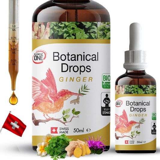 Organic Ginger and Digestive Enzyme Drops for Wellness, Immune Support, and Inflammation Relief