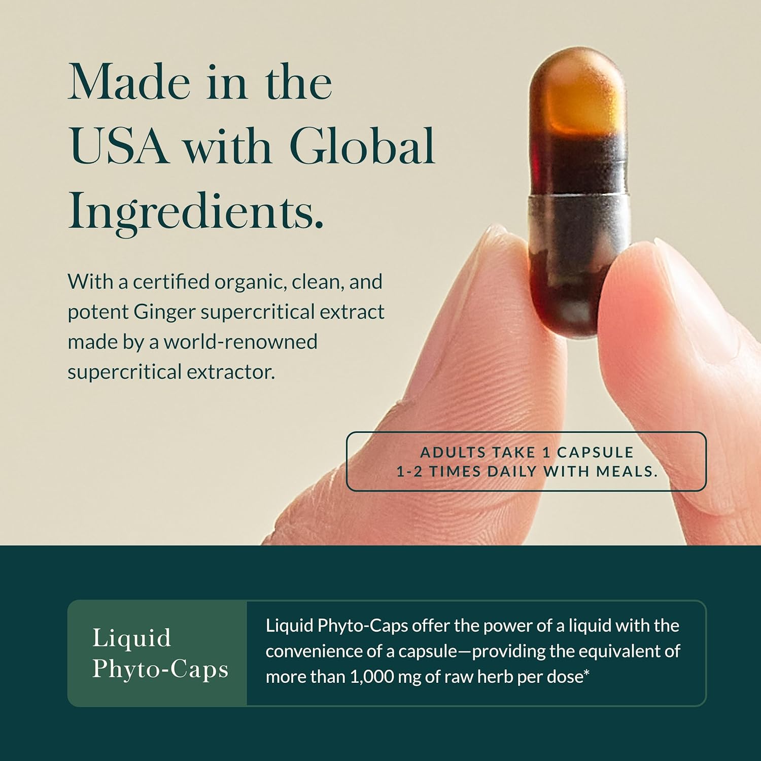 Organic Ginger and Turmeric Root Supplement for Digestive Health - 60 Vegan Liquid Capsules