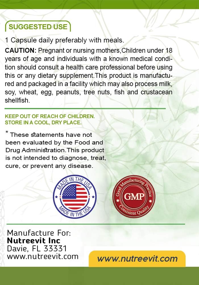 Organic Ginkgo Biloba Capsules for Brain Health, Mental Alertness, Memory & Circulation - Antioxidant Supplement - 100 Count Bottle