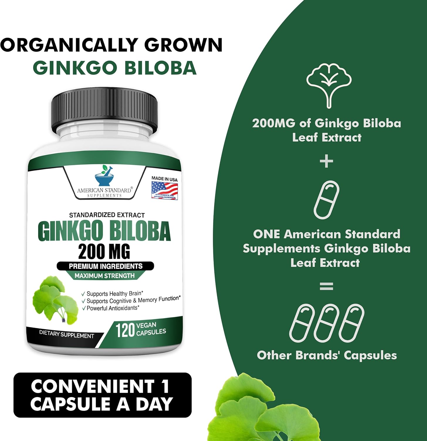 Organic Ginkgo Biloba Extract Capsules - 200mg, American Standard Supplements, Vegan Ginkgo Biloba Pills - 120 Count