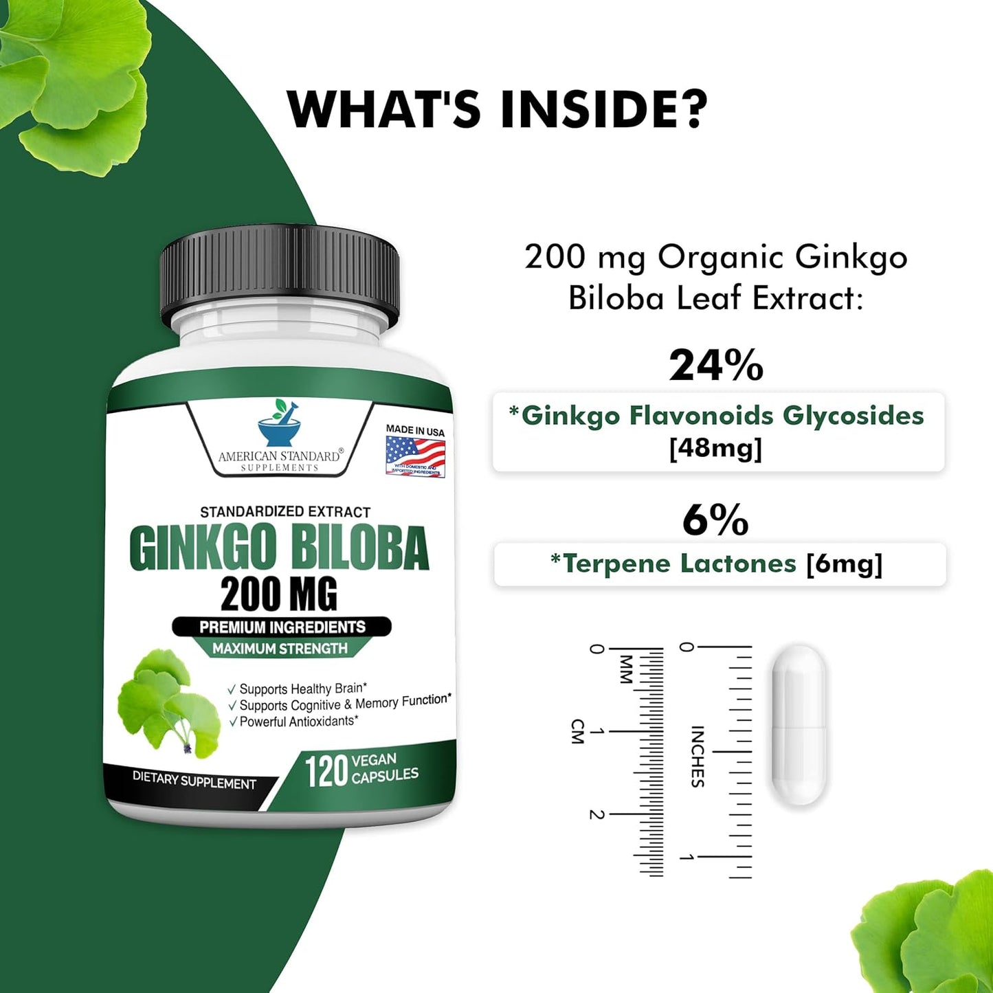 Organic Ginkgo Biloba Extract Capsules - 200mg, American Standard Supplements, Vegan Ginkgo Biloba Pills - 120 Count