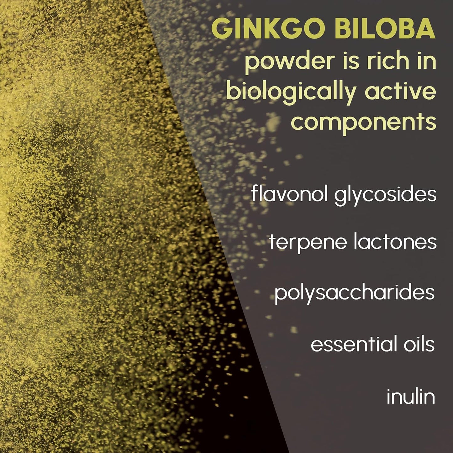 Organic Ginkgo Biloba Powder 8 oz - Pure Natural Supplement for Brain Support and Mental Alertness