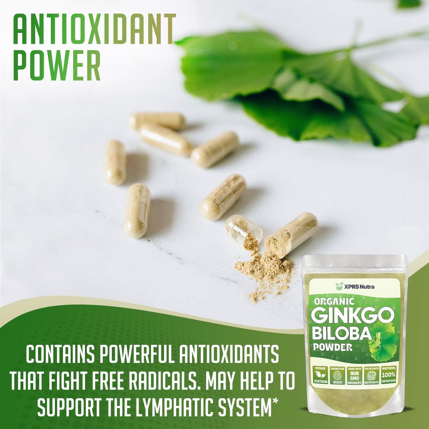 Organic Ginkgo Biloba Powder for Cognitive Support and Immunity - Vegan-Friendly Supplement (4 oz)