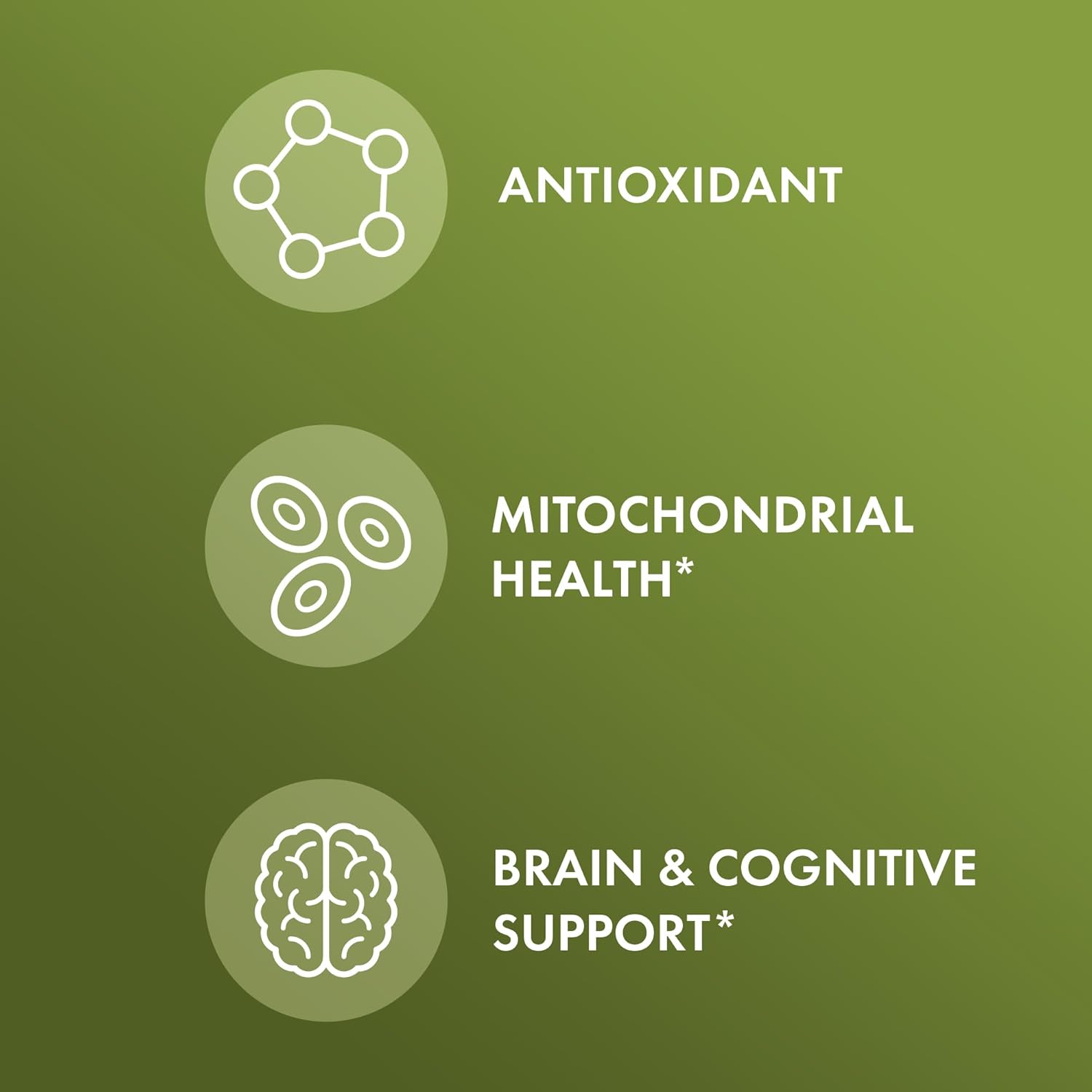 Organic Ginkgo Biloba with Coffee Fruit Extract Dietary Supplement for Brain Health, 30 Servings