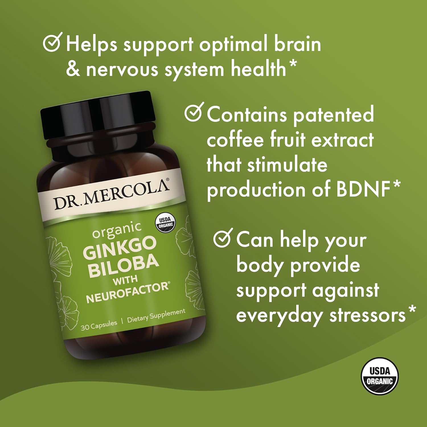 Organic Ginkgo Biloba with Coffee Fruit Extract Dietary Supplement for Brain Health, 30 Servings