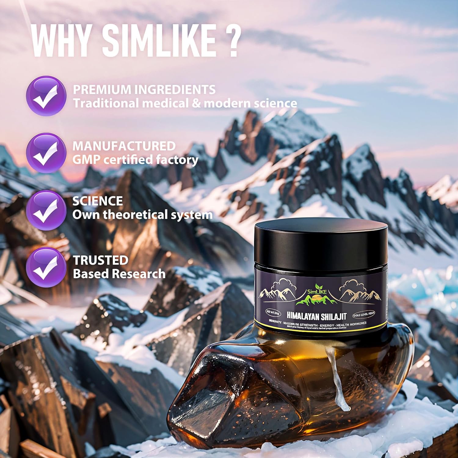 Organic Gold Grade Shilajit Resin with Ayurvedic Herbs - High Potency Energy & Immunity Booster, 30g