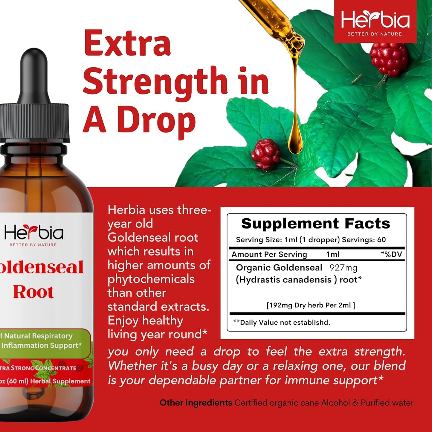 Organic Goldenseal Root Extract for Immune Support - Liquid Alcohol Extract, 60 Servings - 2oz Bottle