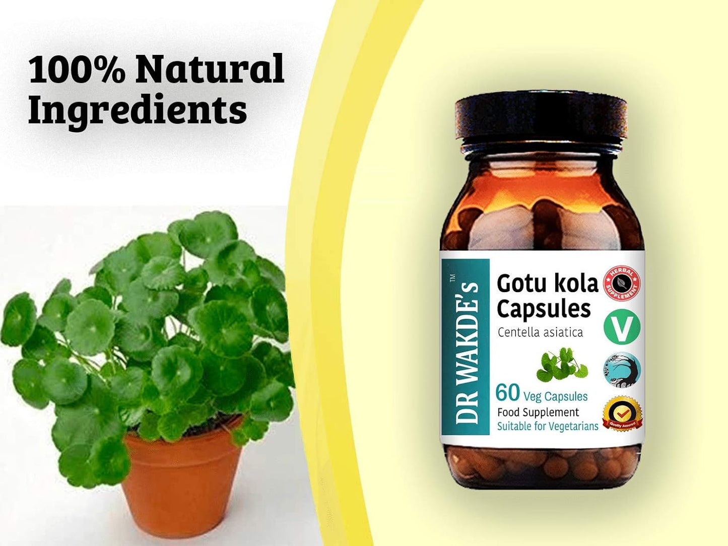 Organic Gotu Kola Capsules - 60 Veg Caps, Plant-Based Ayurvedic Supplement, Vegan-Friendly Herbal Remedy