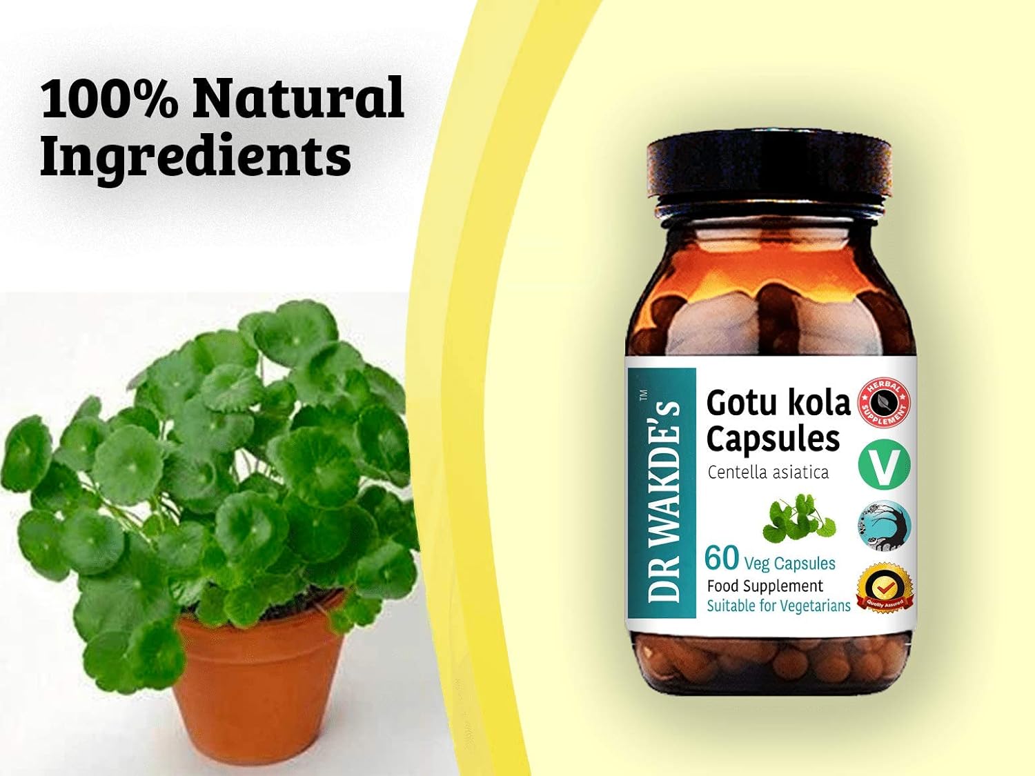 Organic Gotu Kola Capsules - 60 Veg Caps, Plant-Based Ayurvedic Supplement, Vegan-Friendly Herbal Remedy