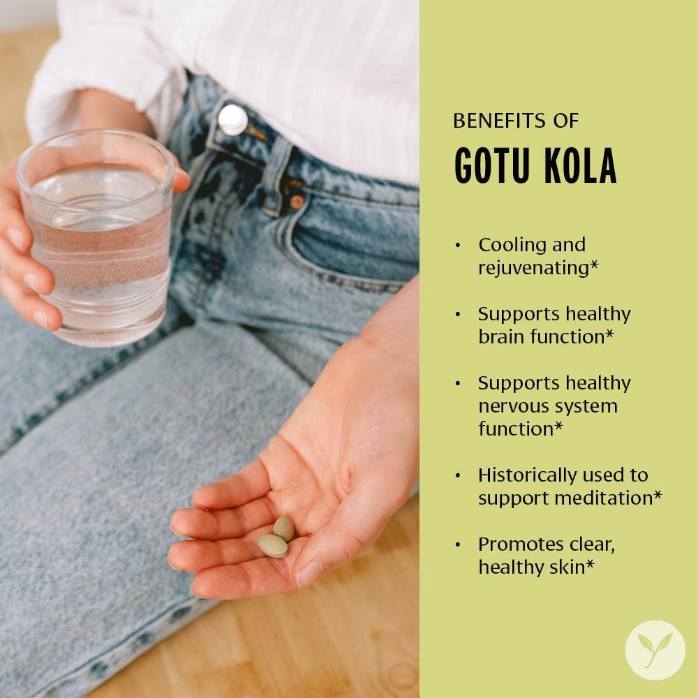 Organic Gotu Kola Tablets for Memory & Concentration - Vegan Nootropic Brain Support Supplement - Fairly Traded & Sustainably Sourced - 90 Tablets